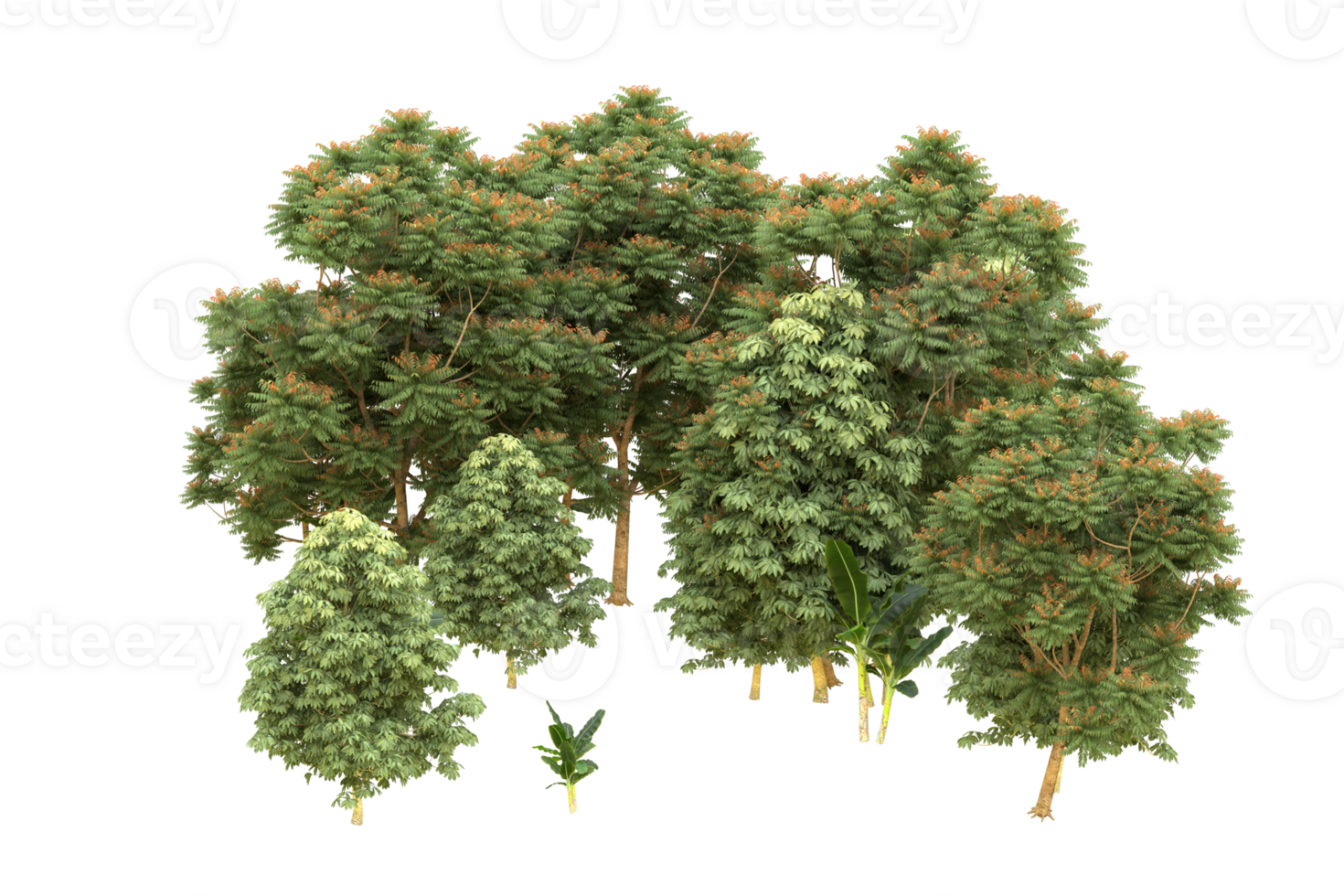 Realistic forest isolated on transparent background. 3d rendering - illustration png