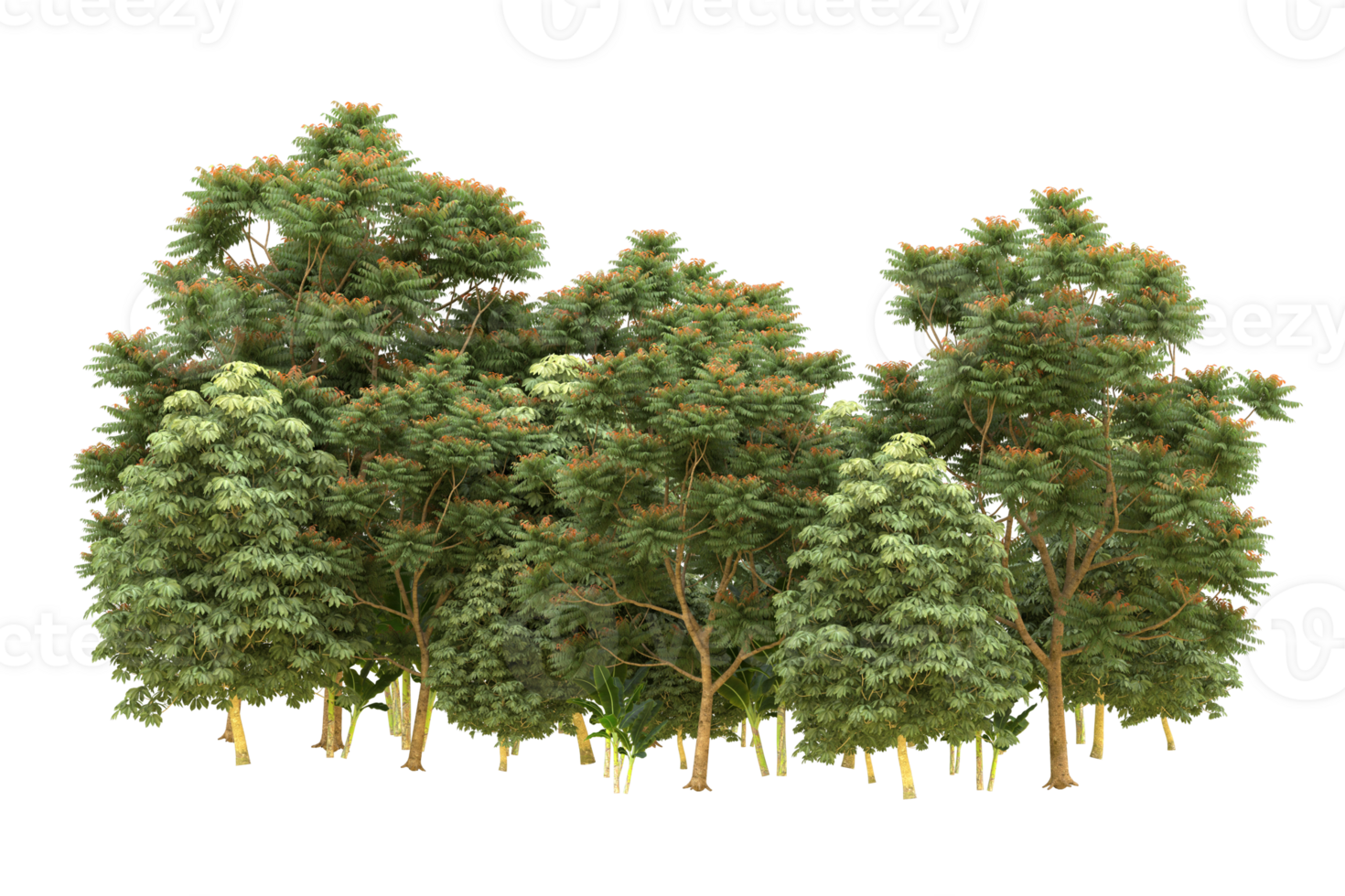 Realistic forest isolated on transparent background. 3d rendering - illustration png
