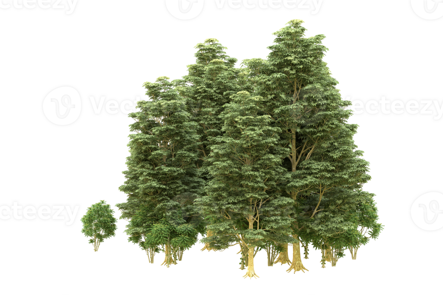 Realistic forest isolated on transparent background. 3d rendering - illustration png