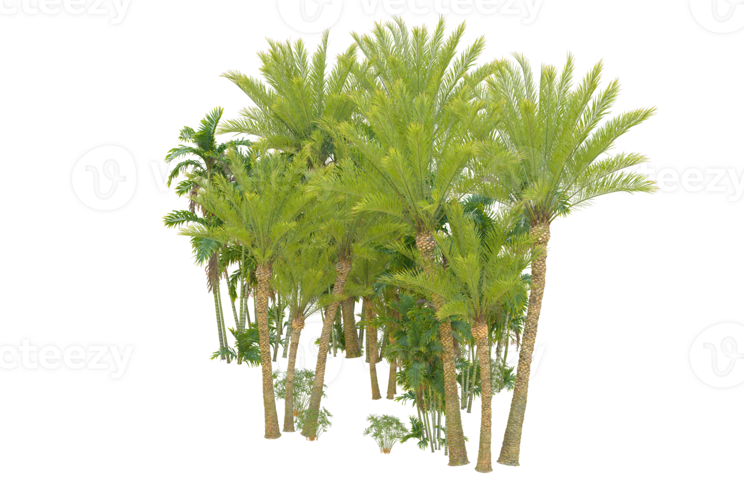 Realistic forest isolated on transparent background. 3d rendering - illustration png