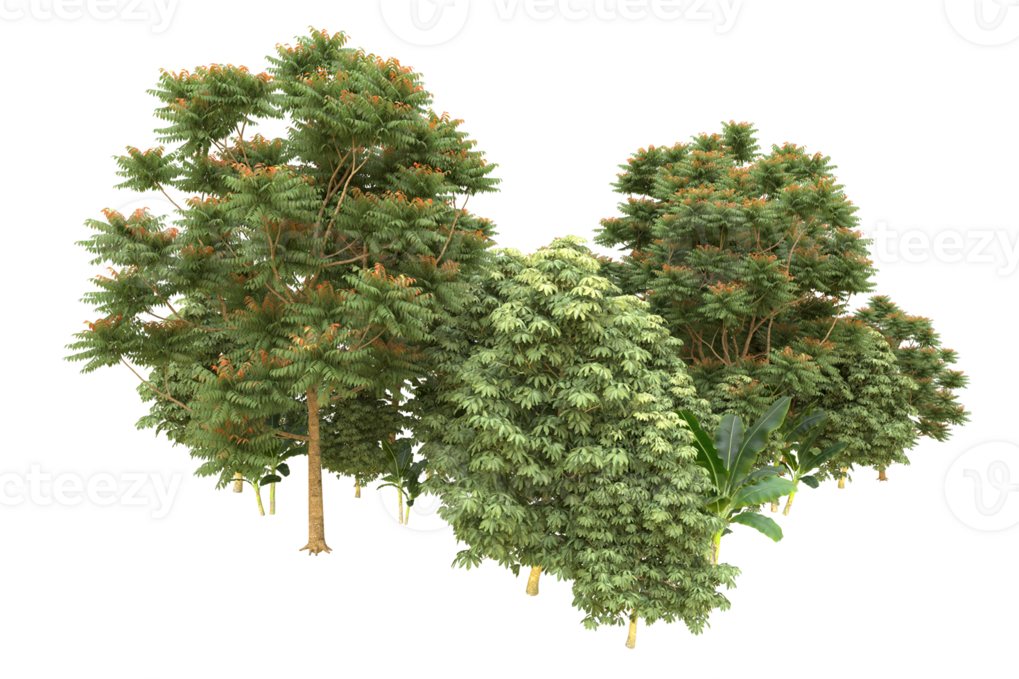 Realistic forest isolated on transparent background. 3d rendering - illustration png