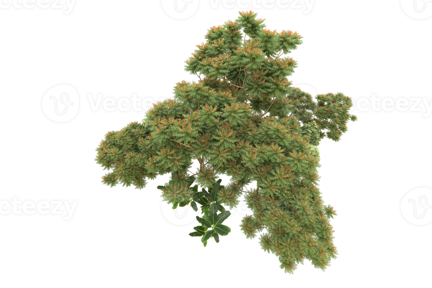 Realistic forest isolated on transparent background. 3d rendering - illustration png
