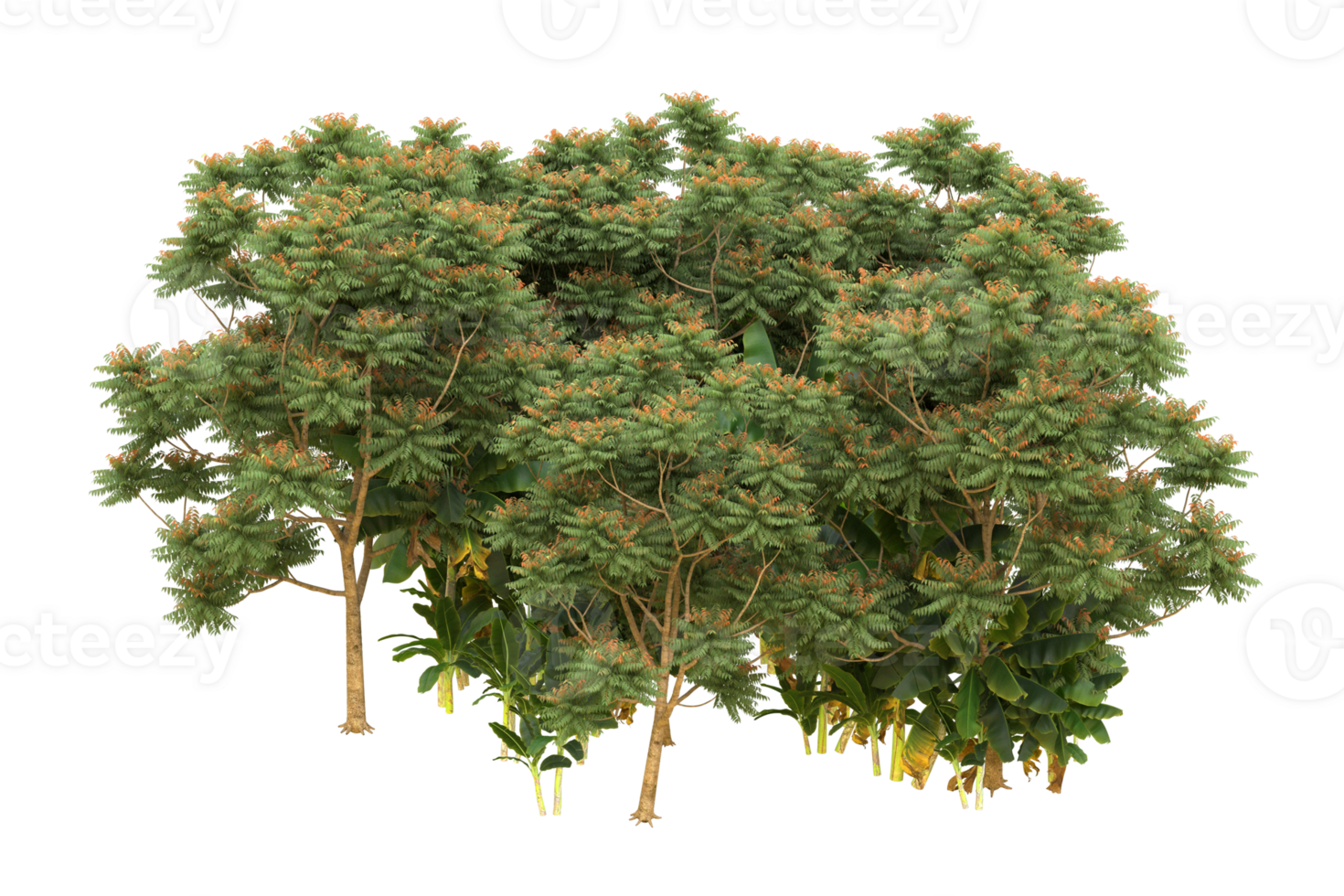 Realistic forest isolated on transparent background. 3d rendering - illustration png