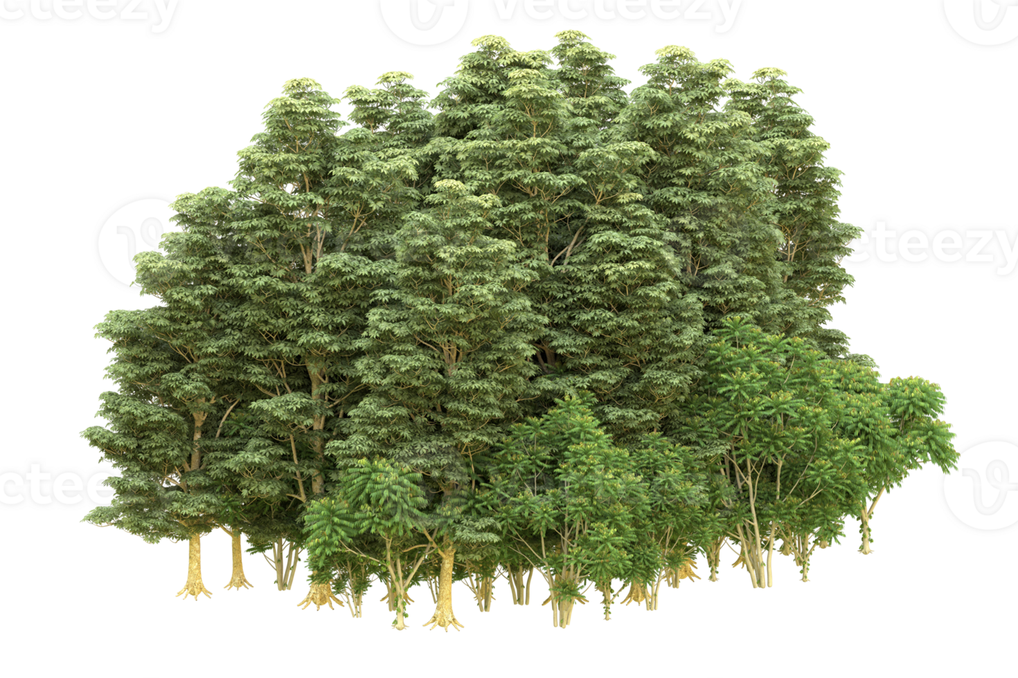 Realistic forest isolated on transparent background. 3d rendering - illustration png