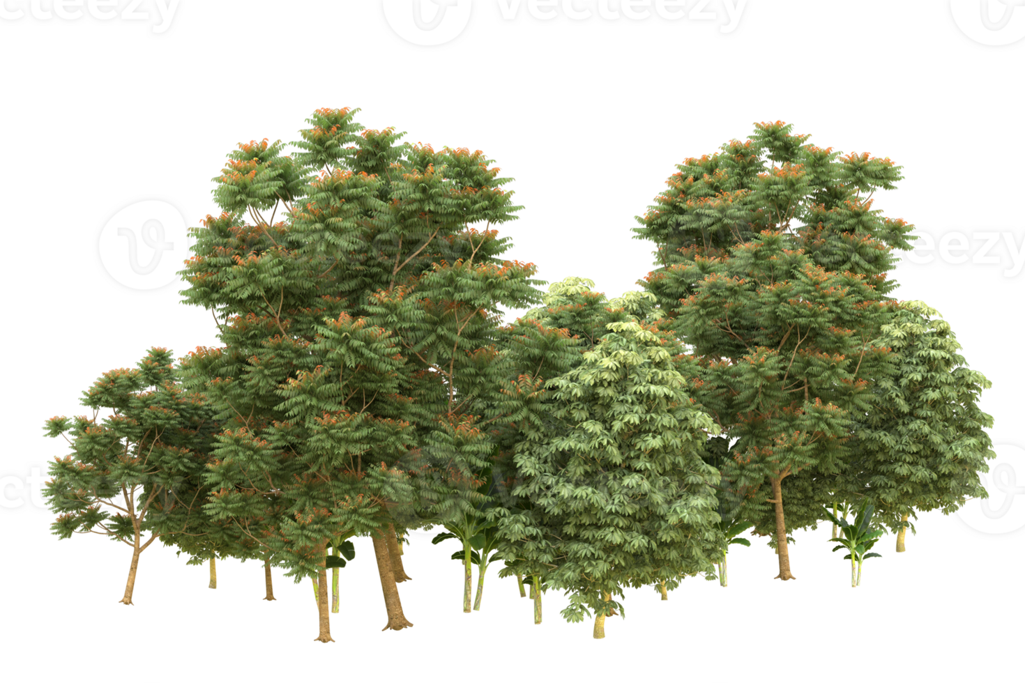 Realistic forest isolated on transparent background. 3d rendering - illustration png