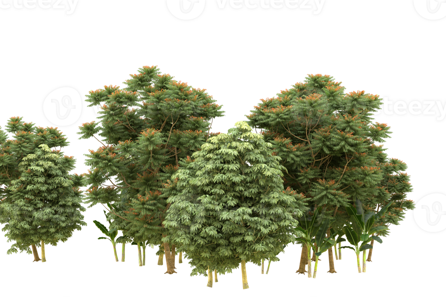 Realistic forest isolated on transparent background. 3d rendering - illustration png
