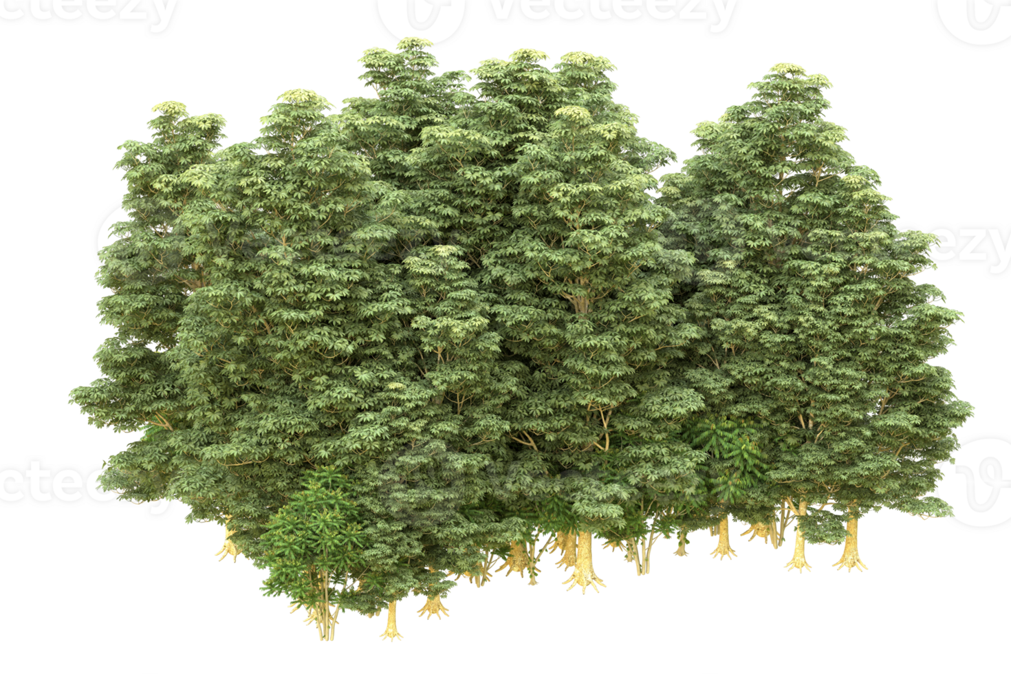 Realistic forest isolated on transparent background. 3d rendering - illustration png