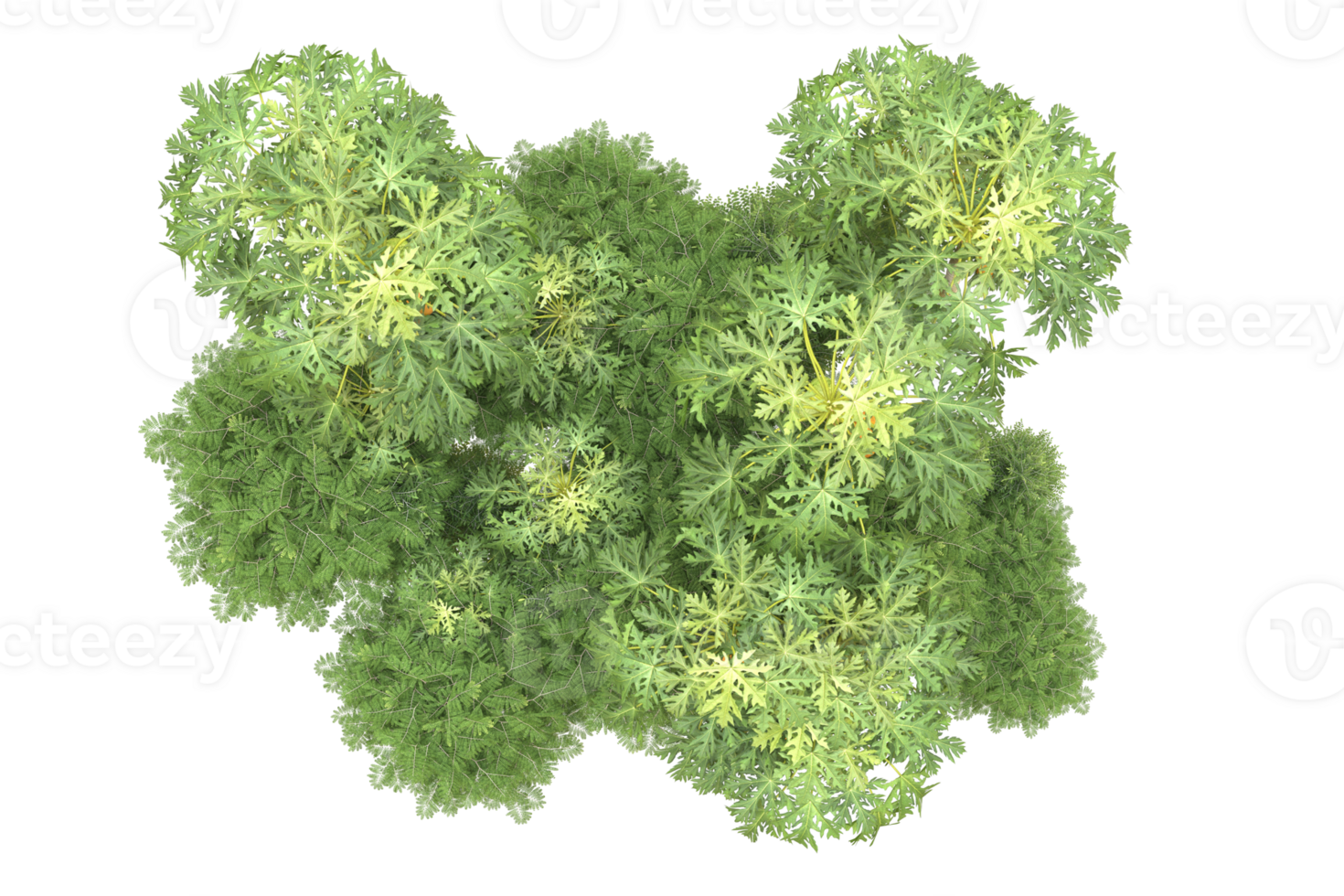 Realistic forest isolated on transparent background. 3d rendering - illustration png