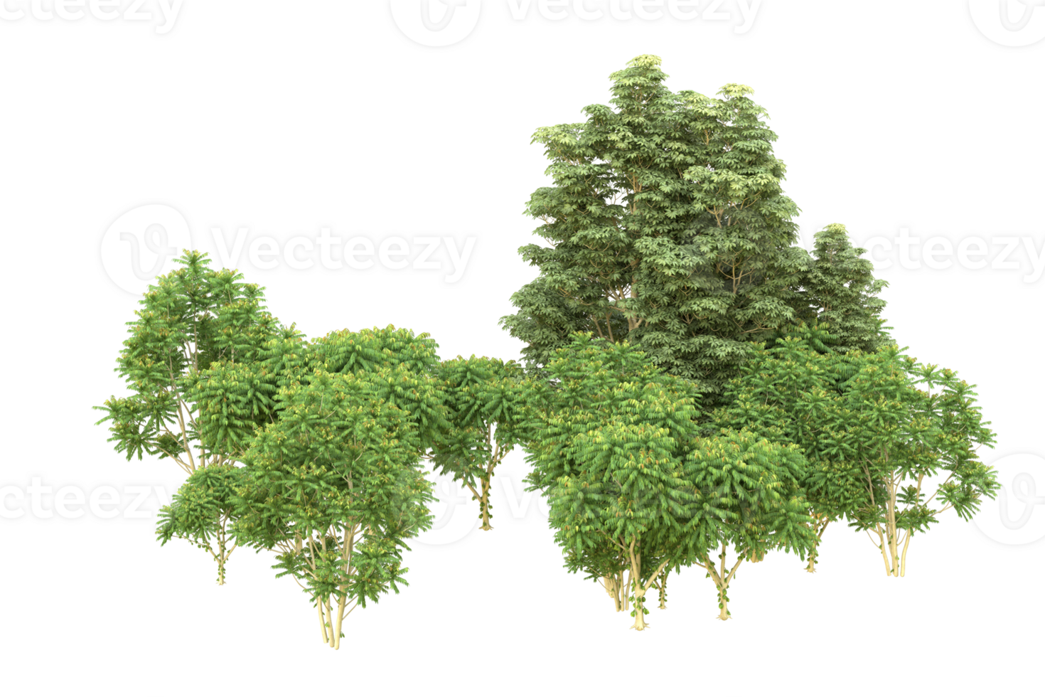 Realistic forest isolated on transparent background. 3d rendering - illustration png