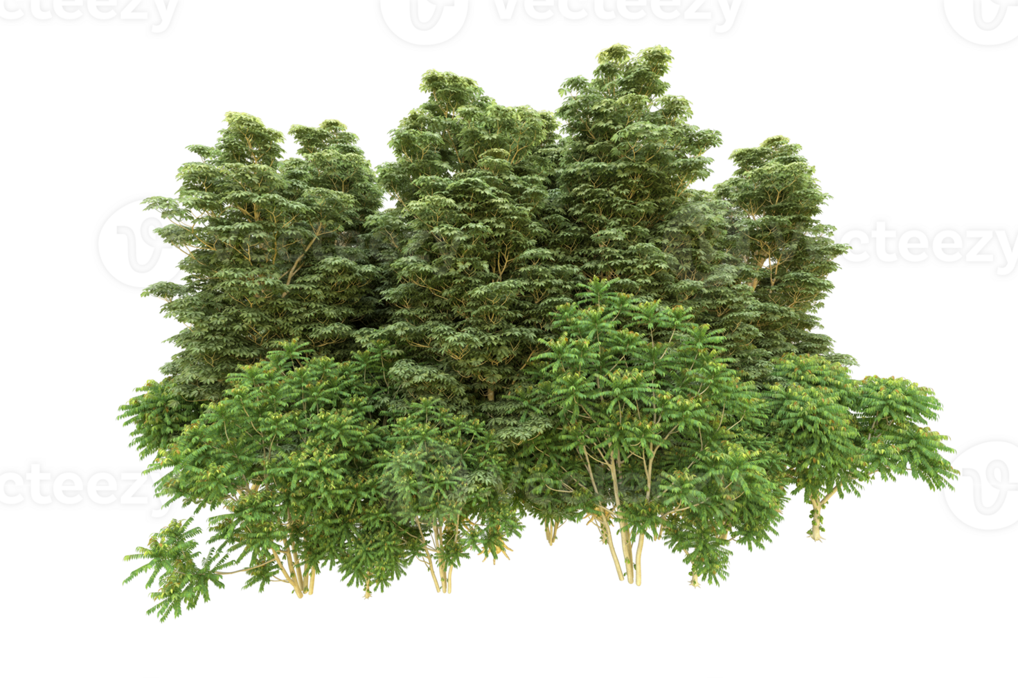 Realistic forest isolated on transparent background. 3d rendering - illustration png