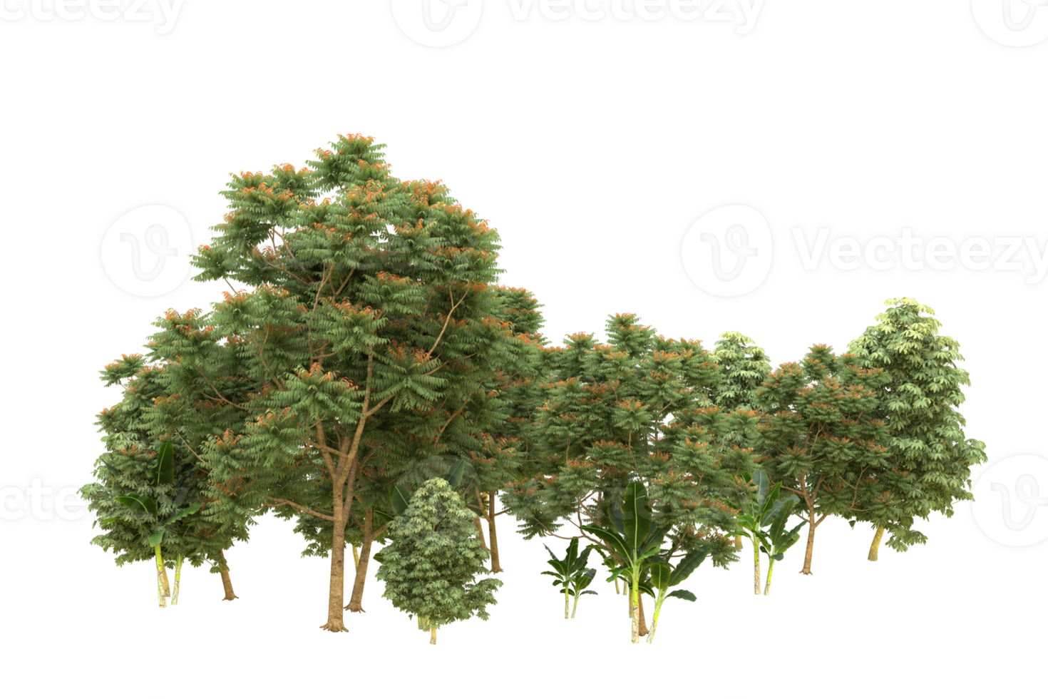 Realistic forest isolated on transparent background. 3d rendering - illustration png