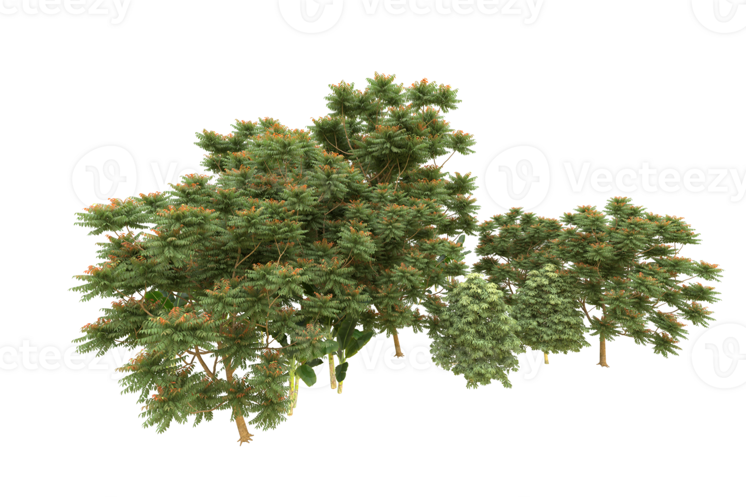 Realistic forest isolated on transparent background. 3d rendering - illustration png