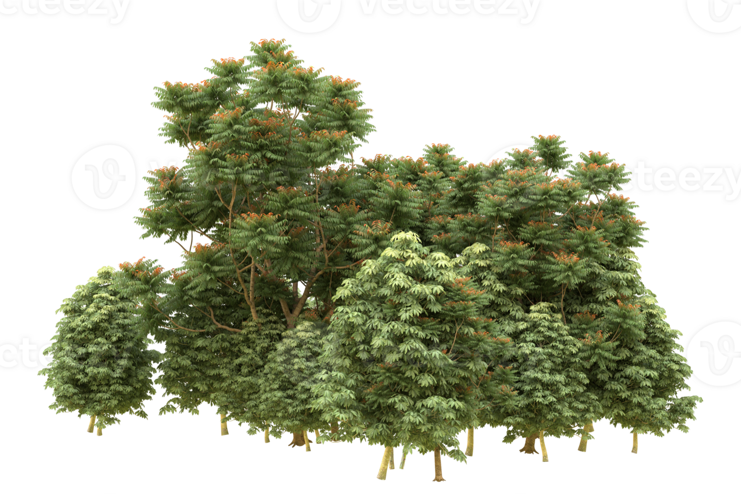 Realistic forest isolated on transparent background. 3d rendering - illustration png