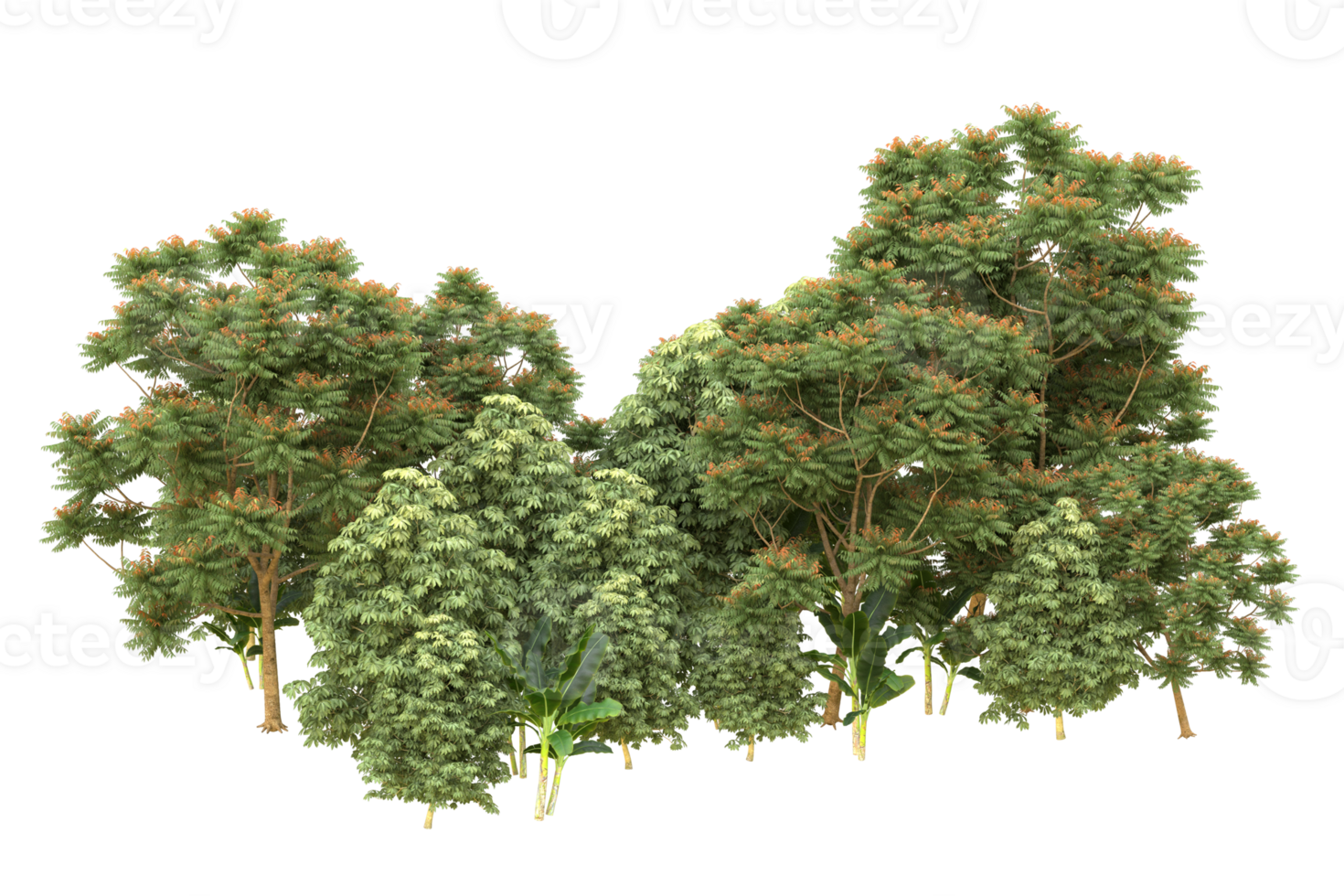 Realistic forest isolated on transparent background. 3d rendering - illustration png