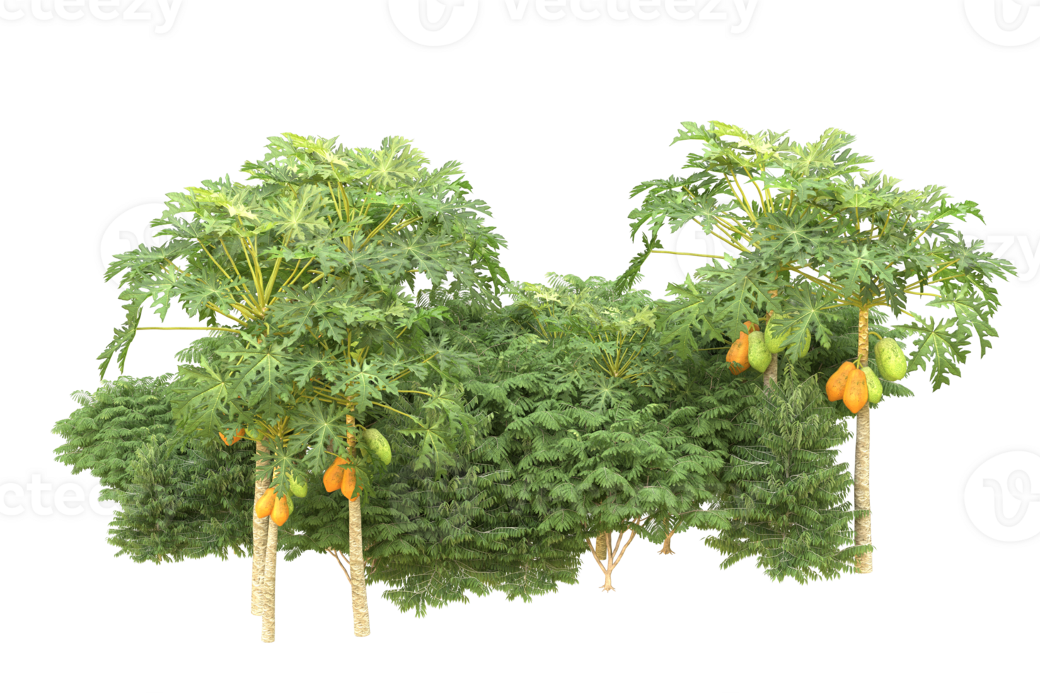 Realistic forest isolated on transparent background. 3d rendering - illustration png