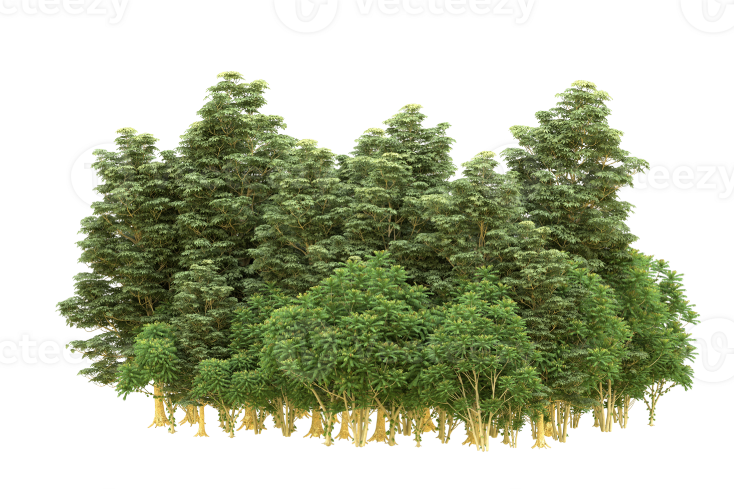 Realistic forest isolated on transparent background. 3d rendering - illustration png