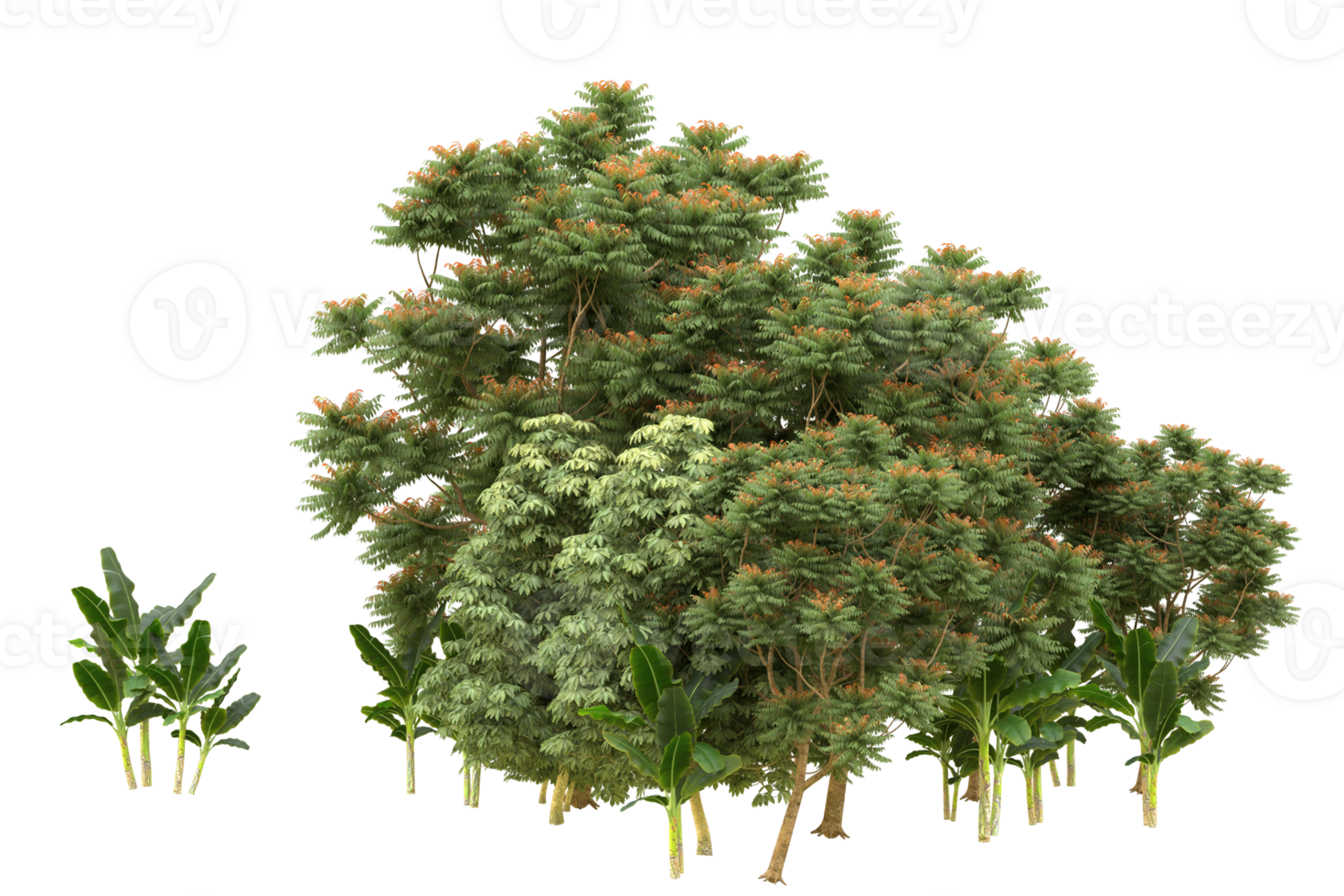 Realistic forest isolated on transparent background. 3d rendering - illustration png