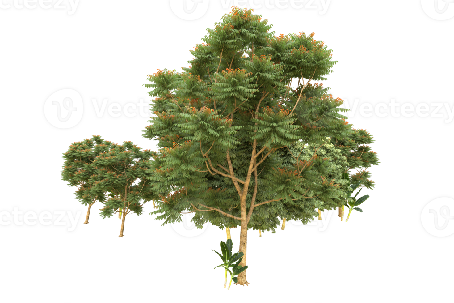 Realistic forest isolated on transparent background. 3d rendering - illustration png