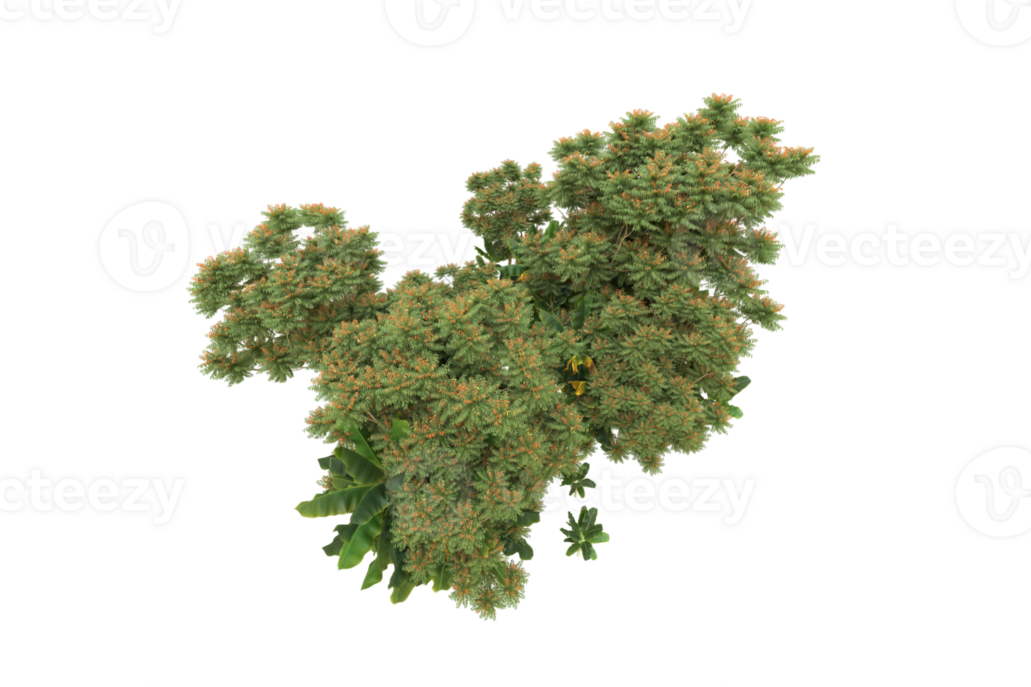 Realistic forest isolated on transparent background. 3d rendering - illustration png