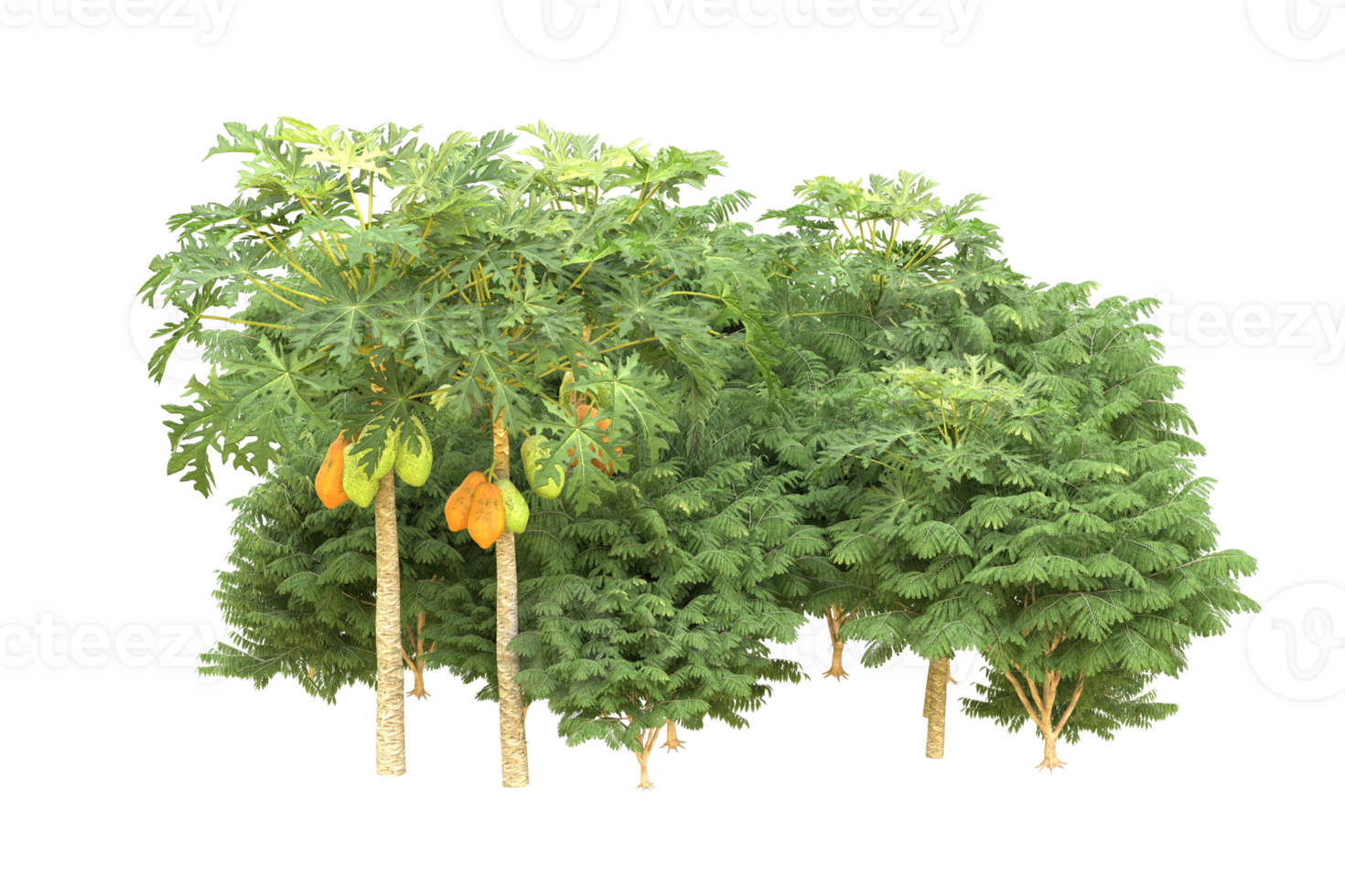 Realistic forest isolated on transparent background. 3d rendering - illustration png