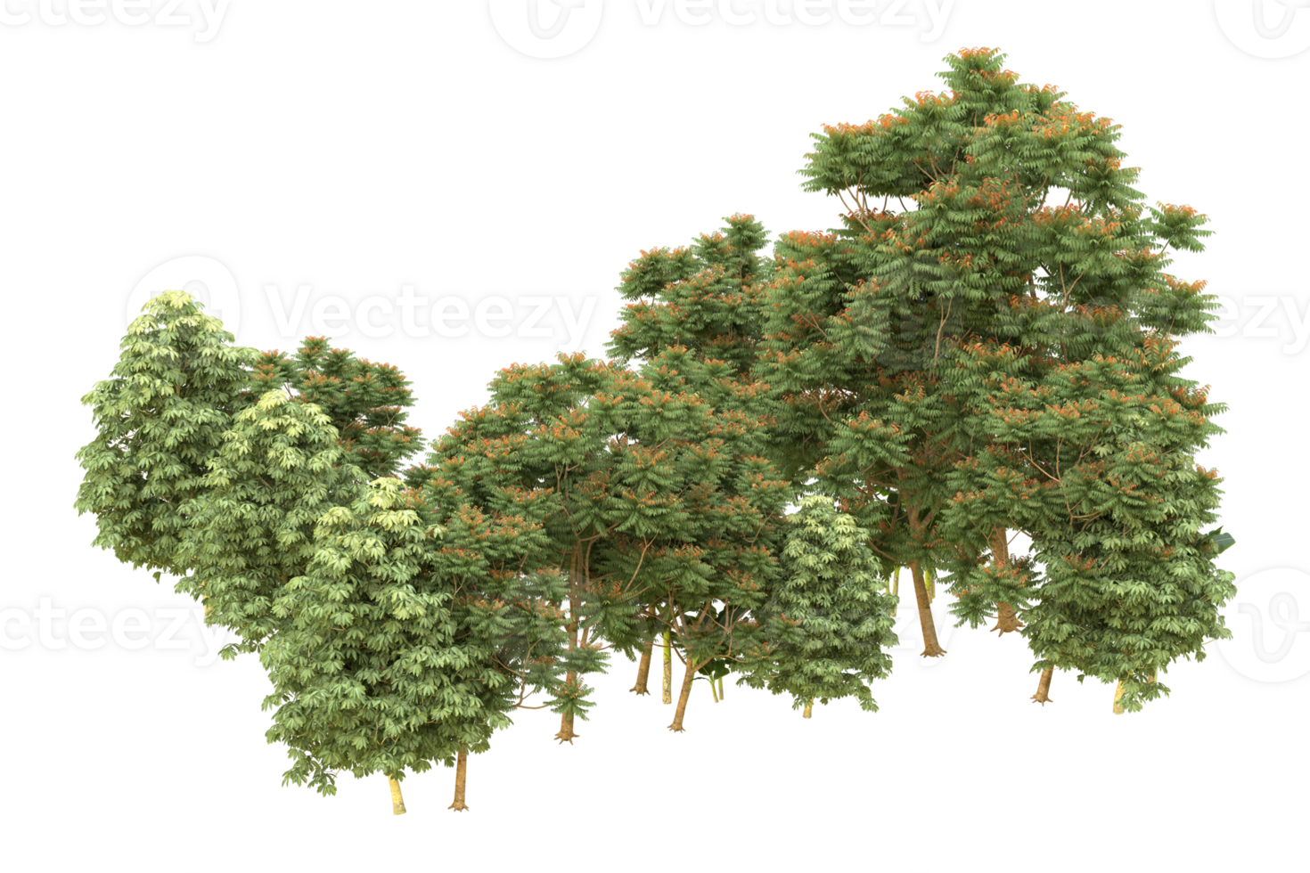 Realistic forest isolated on transparent background. 3d rendering - illustration png