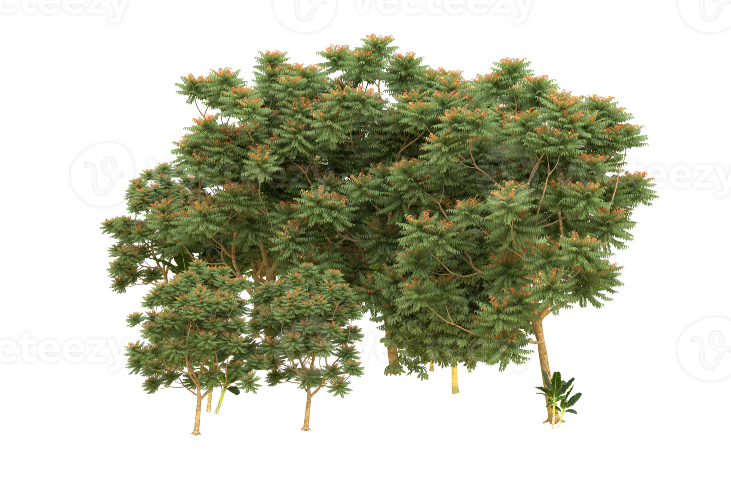 Realistic forest isolated on transparent background. 3d rendering - illustration png