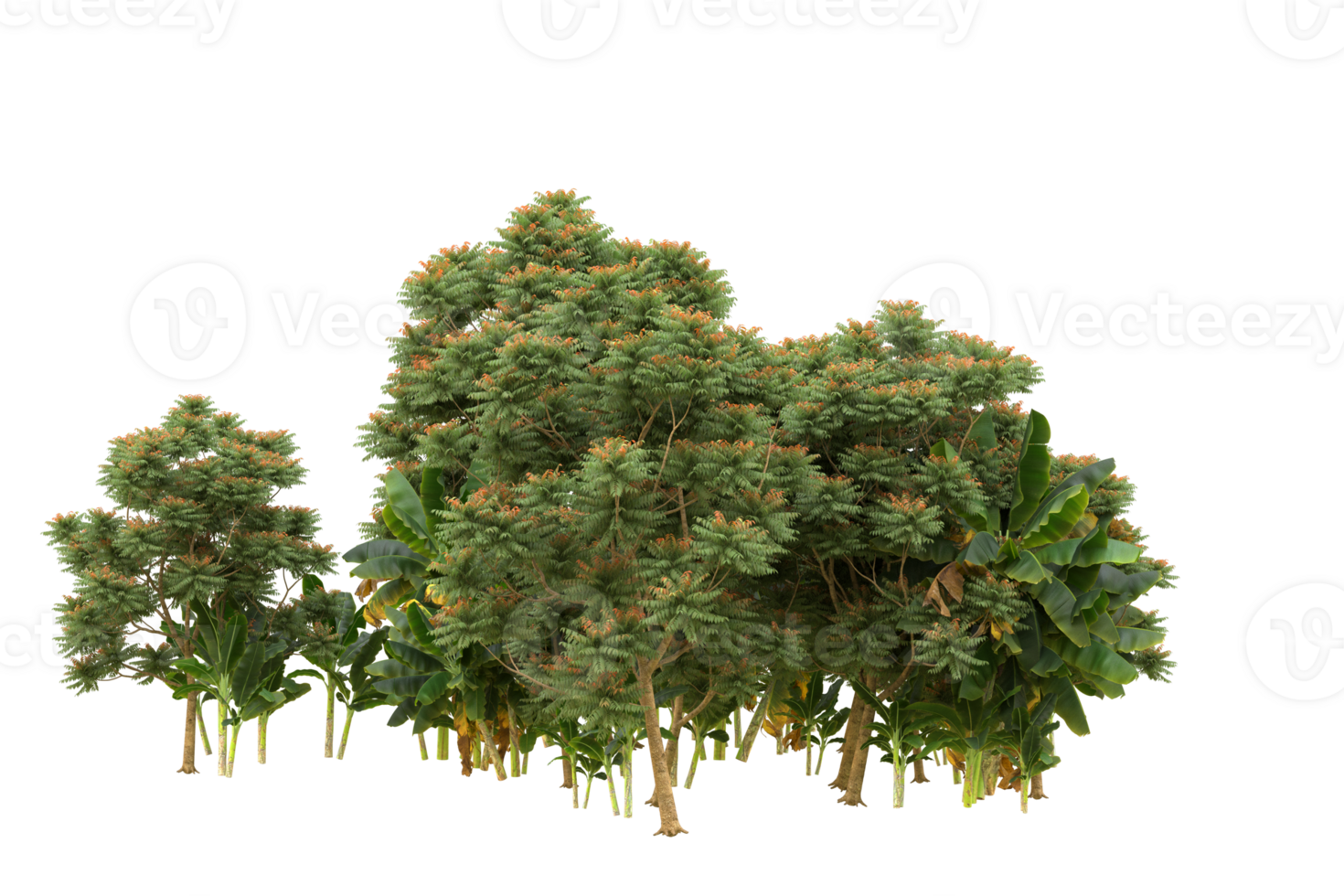 Realistic forest isolated on transparent background. 3d rendering - illustration png