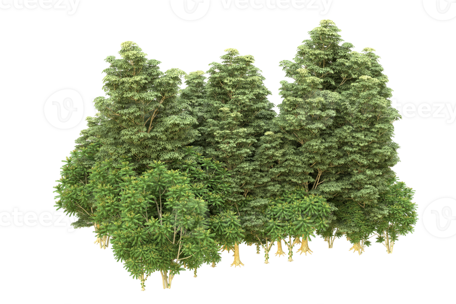 Realistic forest isolated on transparent background. 3d rendering - illustration png