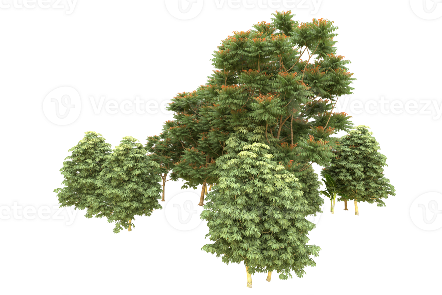Realistic forest isolated on transparent background. 3d rendering - illustration png