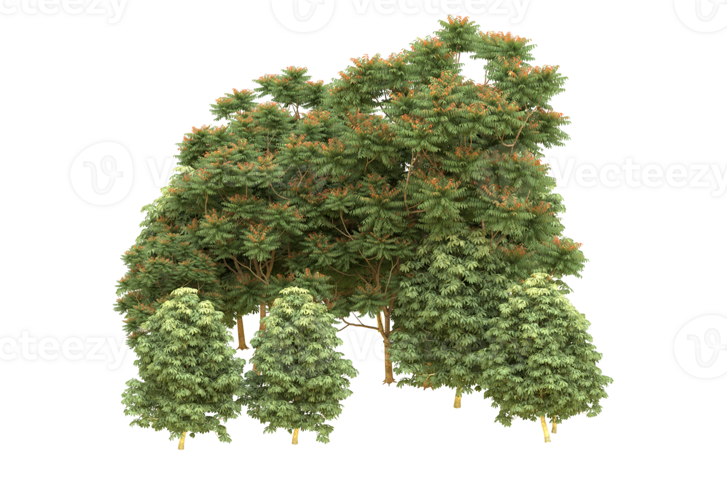 Realistic forest isolated on transparent background. 3d rendering - illustration png