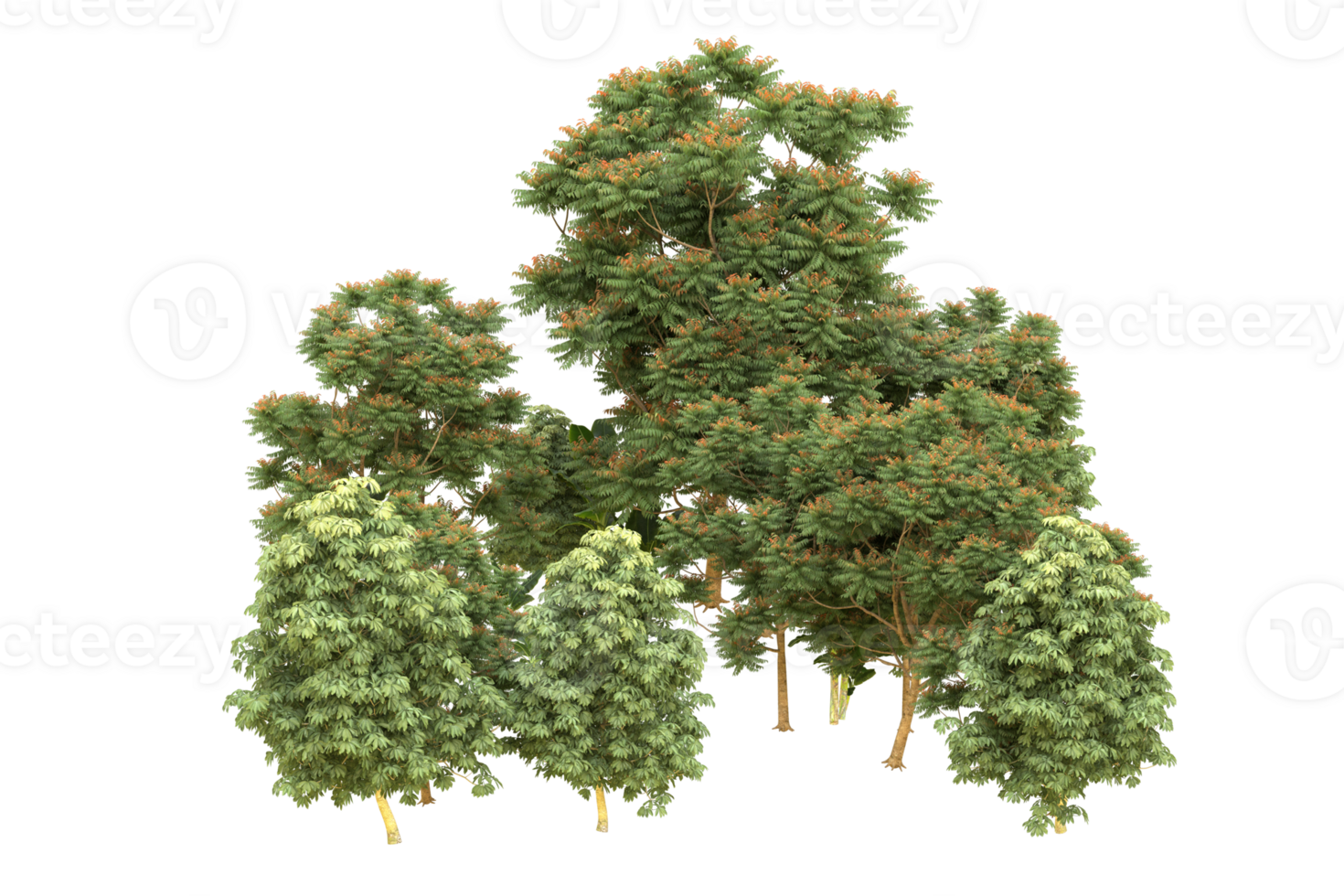 Realistic forest isolated on transparent background. 3d rendering - illustration png