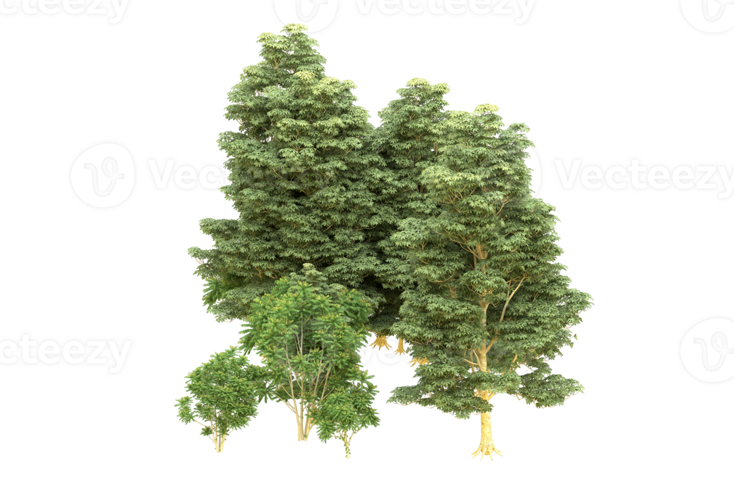 Realistic forest isolated on transparent background. 3d rendering - illustration png