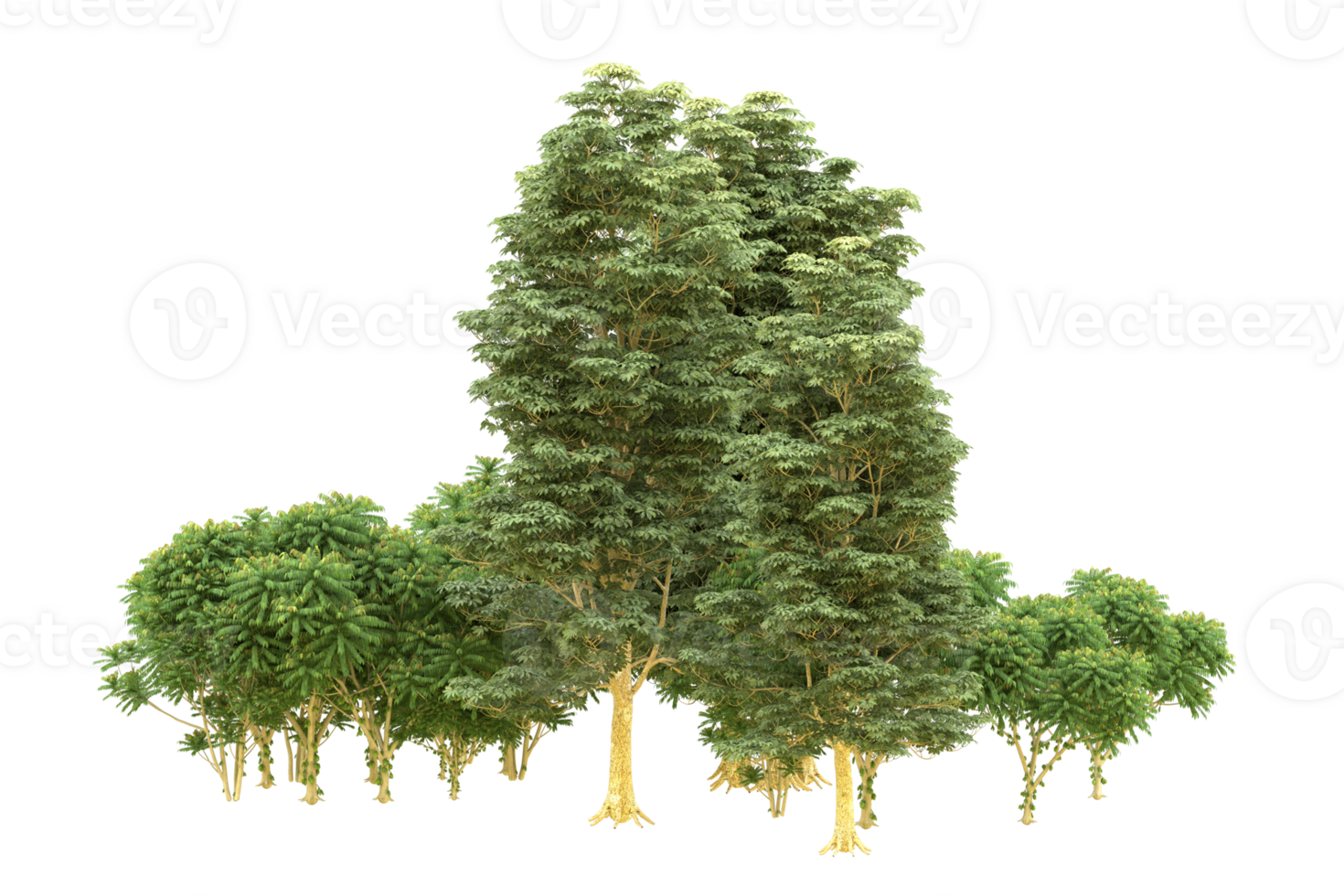 Realistic forest isolated on transparent background. 3d rendering - illustration png