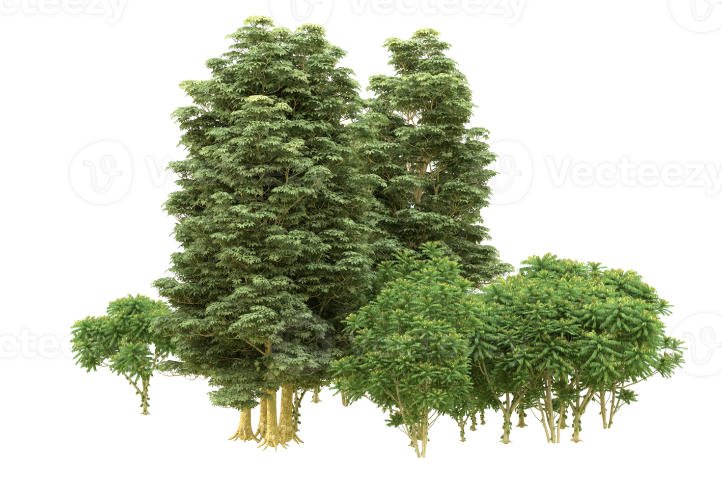 Realistic forest isolated on transparent background. 3d rendering - illustration png