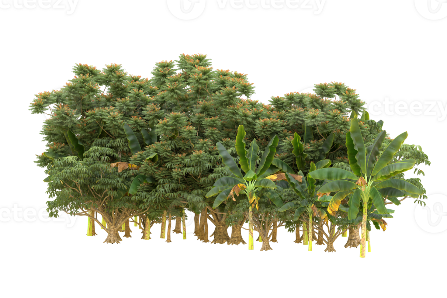 Realistic forest isolated on transparent background. 3d rendering - illustration png