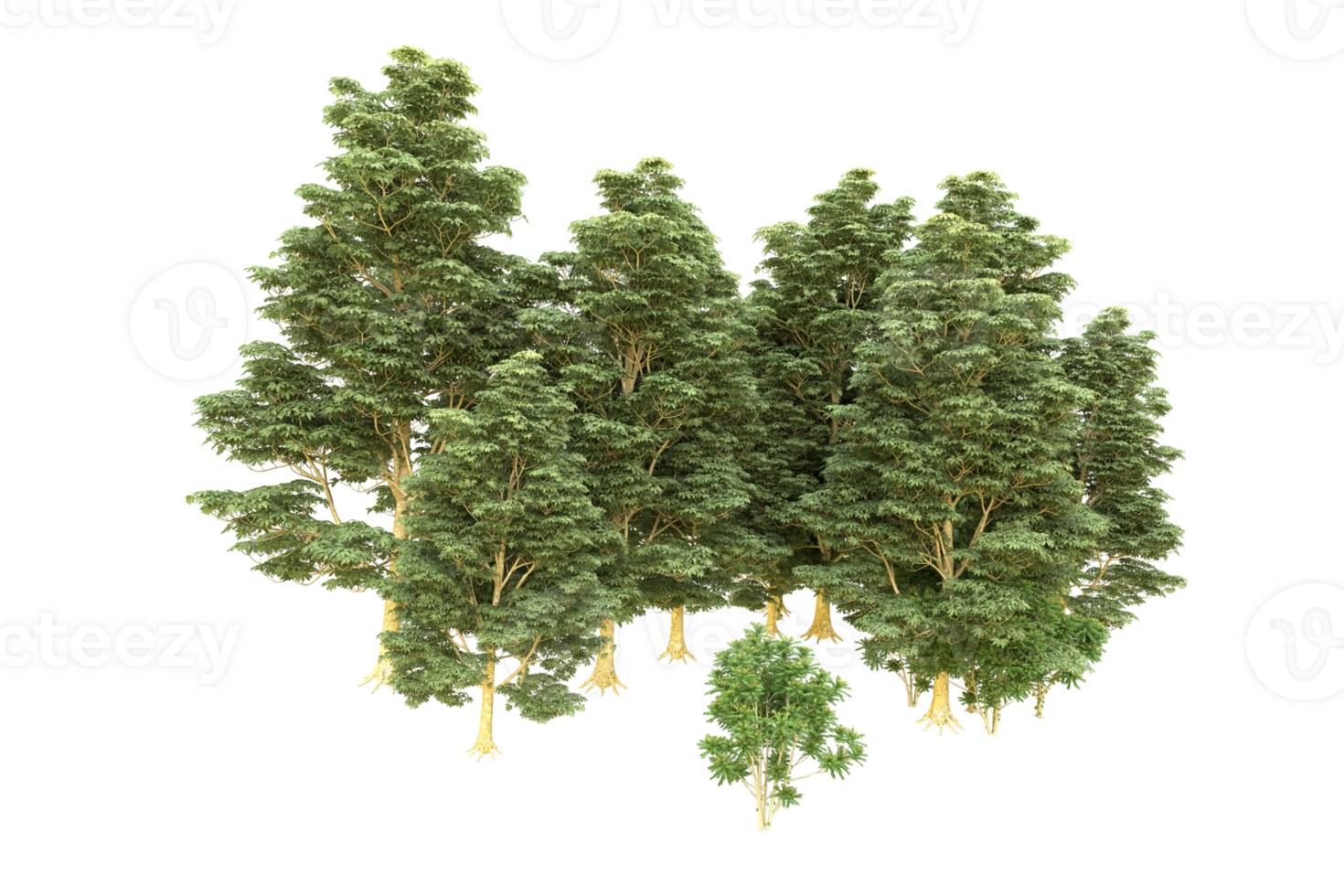Realistic forest isolated on transparent background. 3d rendering - illustration png