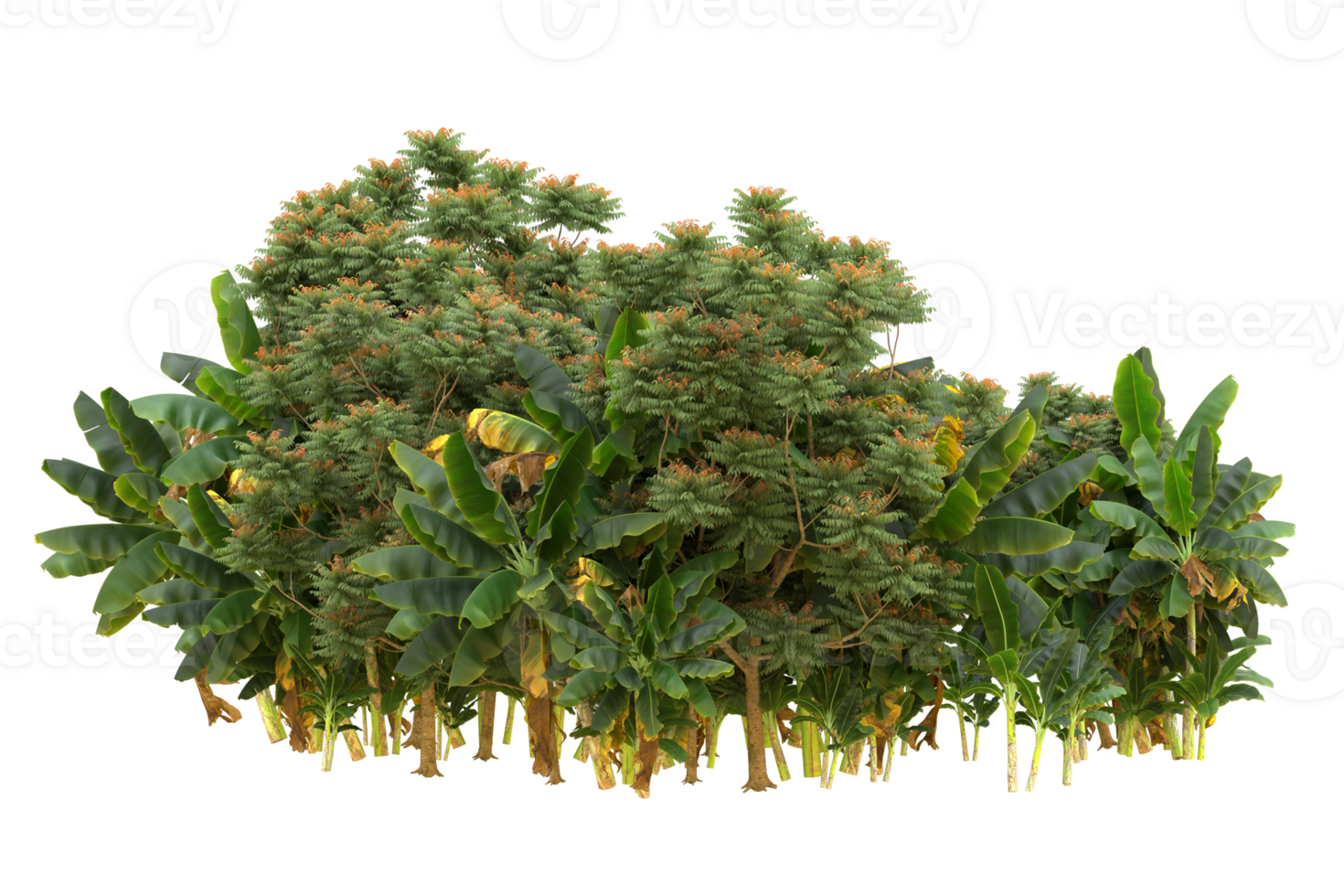 Realistic forest isolated on transparent background. 3d rendering - illustration png
