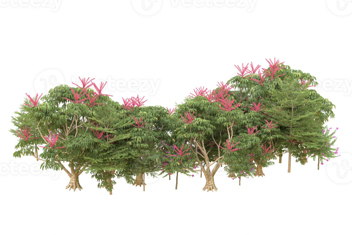 Realistic forest isolated on transparent background. 3d rendering - illustration png