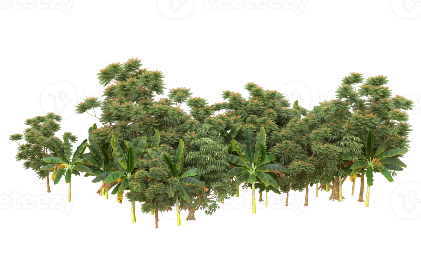 Realistic forest isolated on transparent background. 3d rendering - illustration png