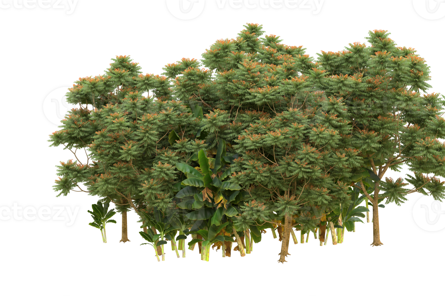 Realistic forest isolated on transparent background. 3d rendering - illustration png