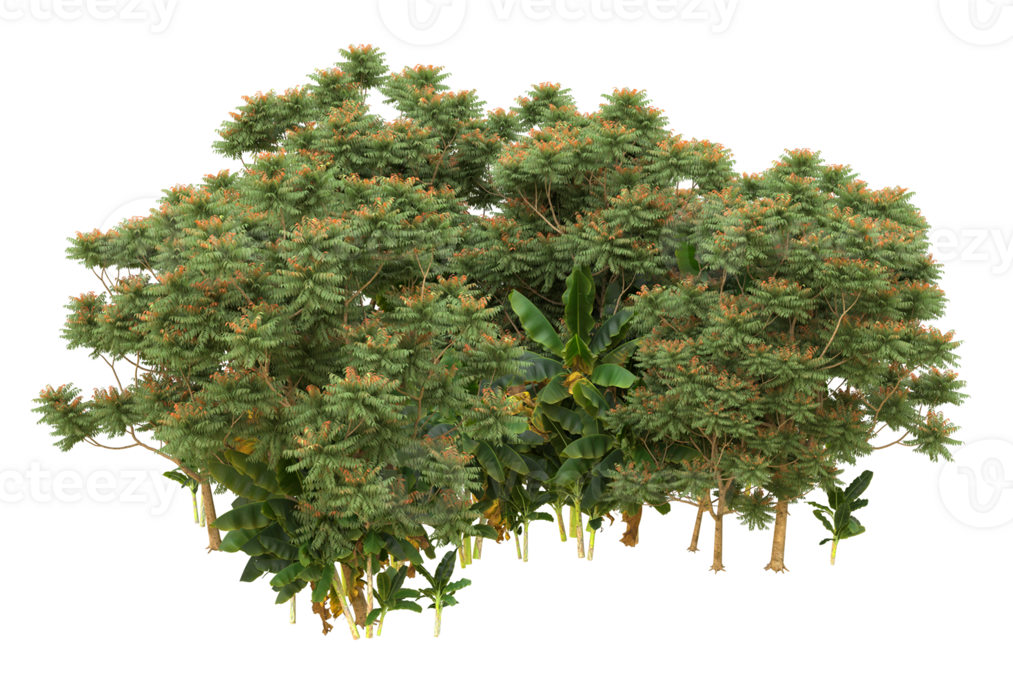 Realistic forest isolated on transparent background. 3d rendering - illustration png