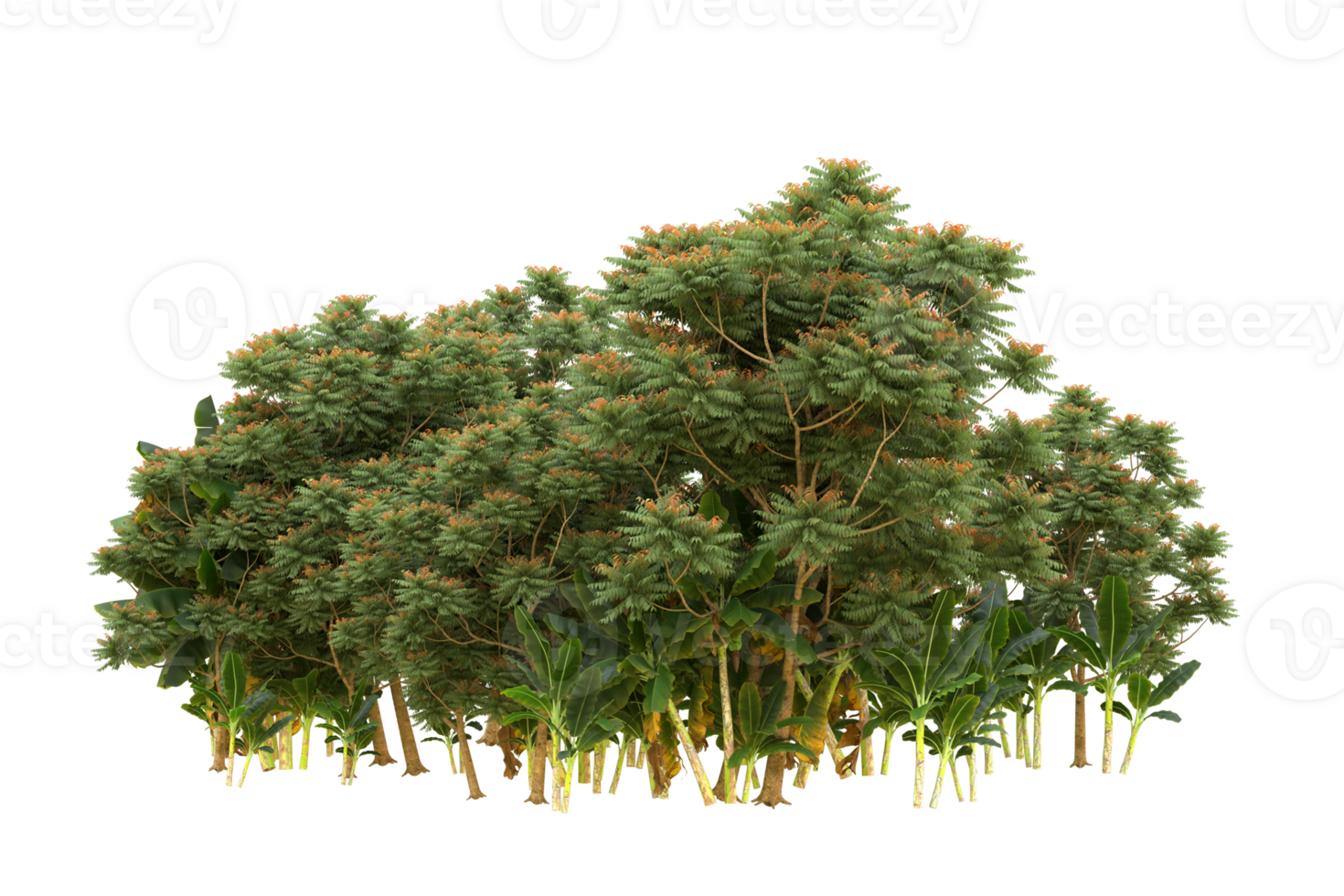 Realistic forest isolated on transparent background. 3d rendering - illustration png