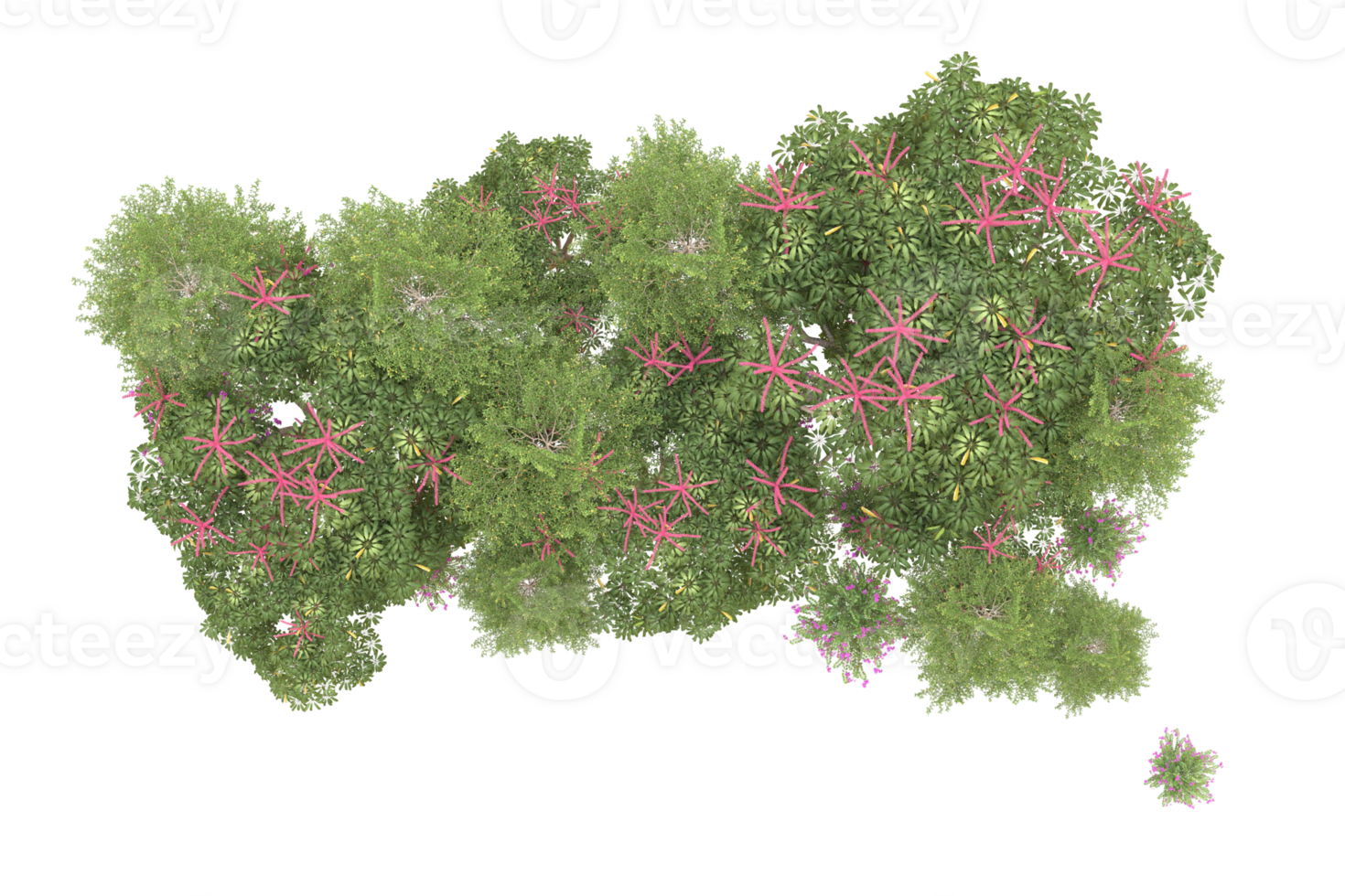Realistic forest isolated on transparent background. 3d rendering - illustration png
