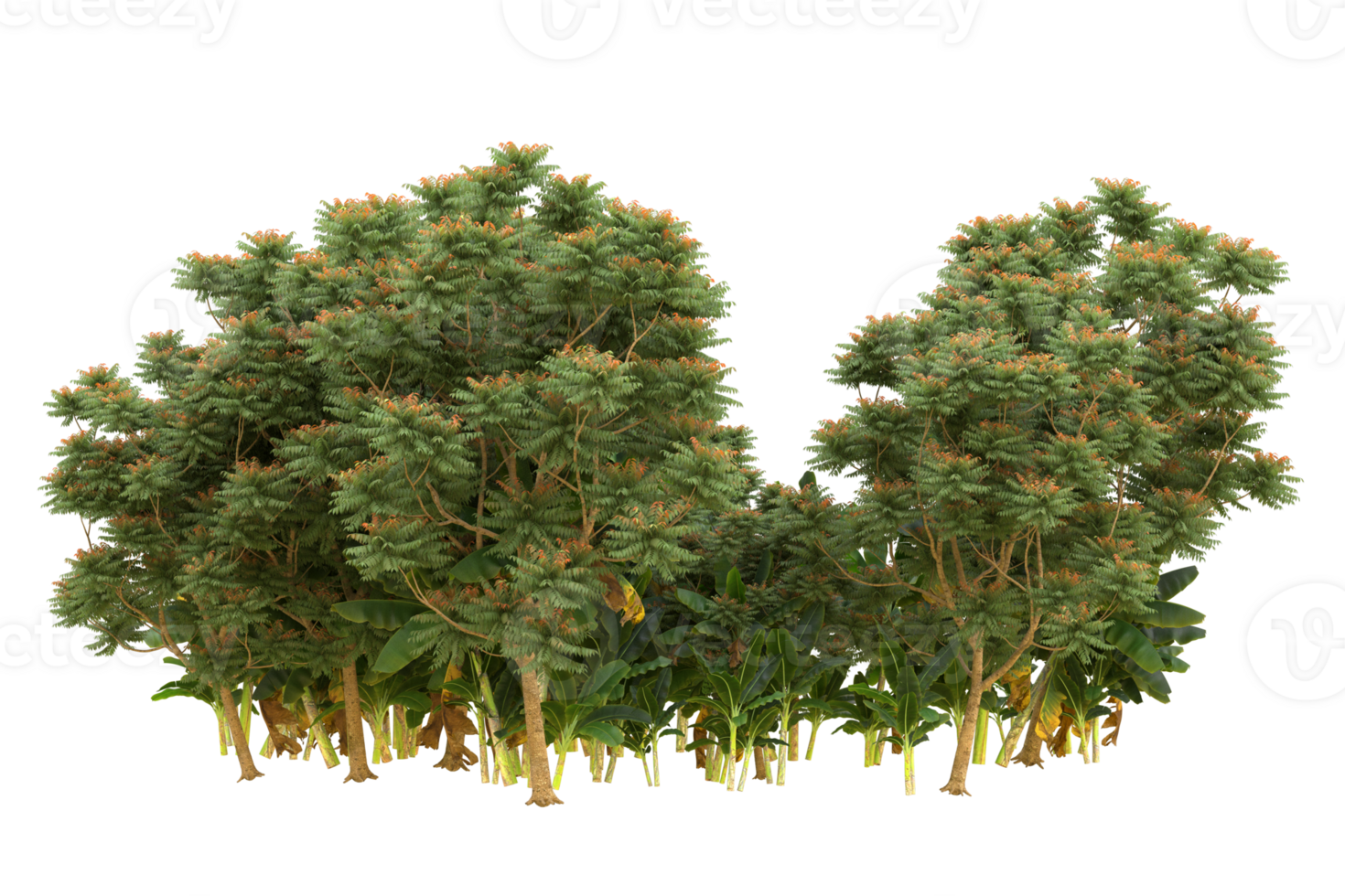 Realistic forest isolated on transparent background. 3d rendering - illustration png