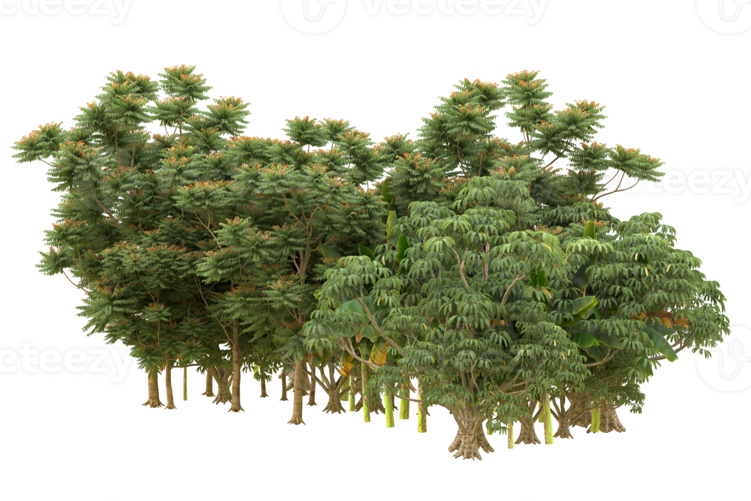 Realistic forest isolated on transparent background. 3d rendering - illustration png