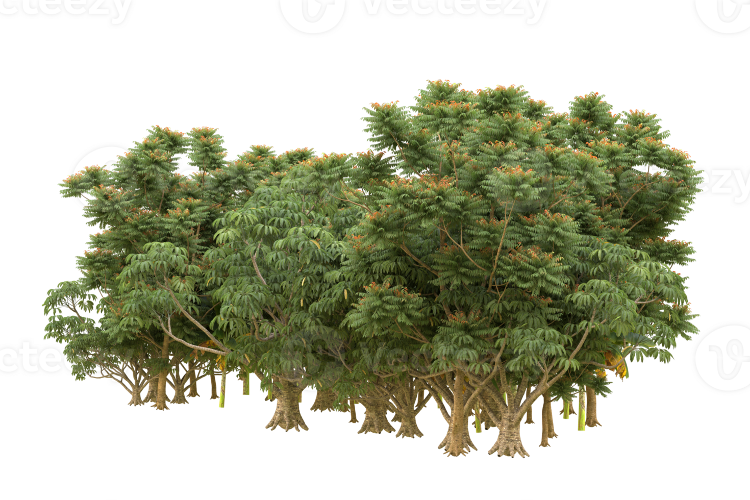 Realistic forest isolated on transparent background. 3d rendering - illustration png