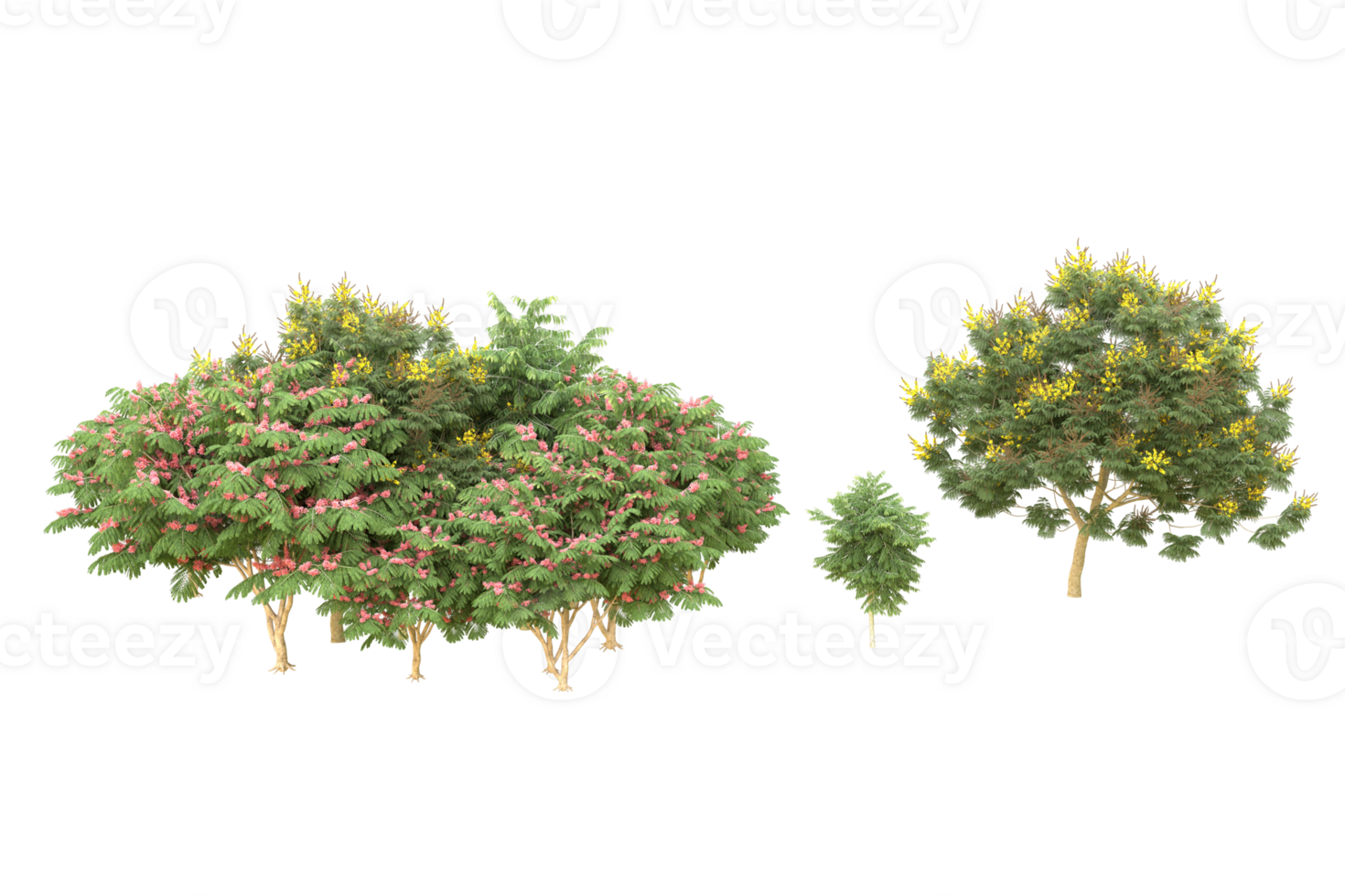 Realistic forest isolated on transparent background. 3d rendering - illustration png