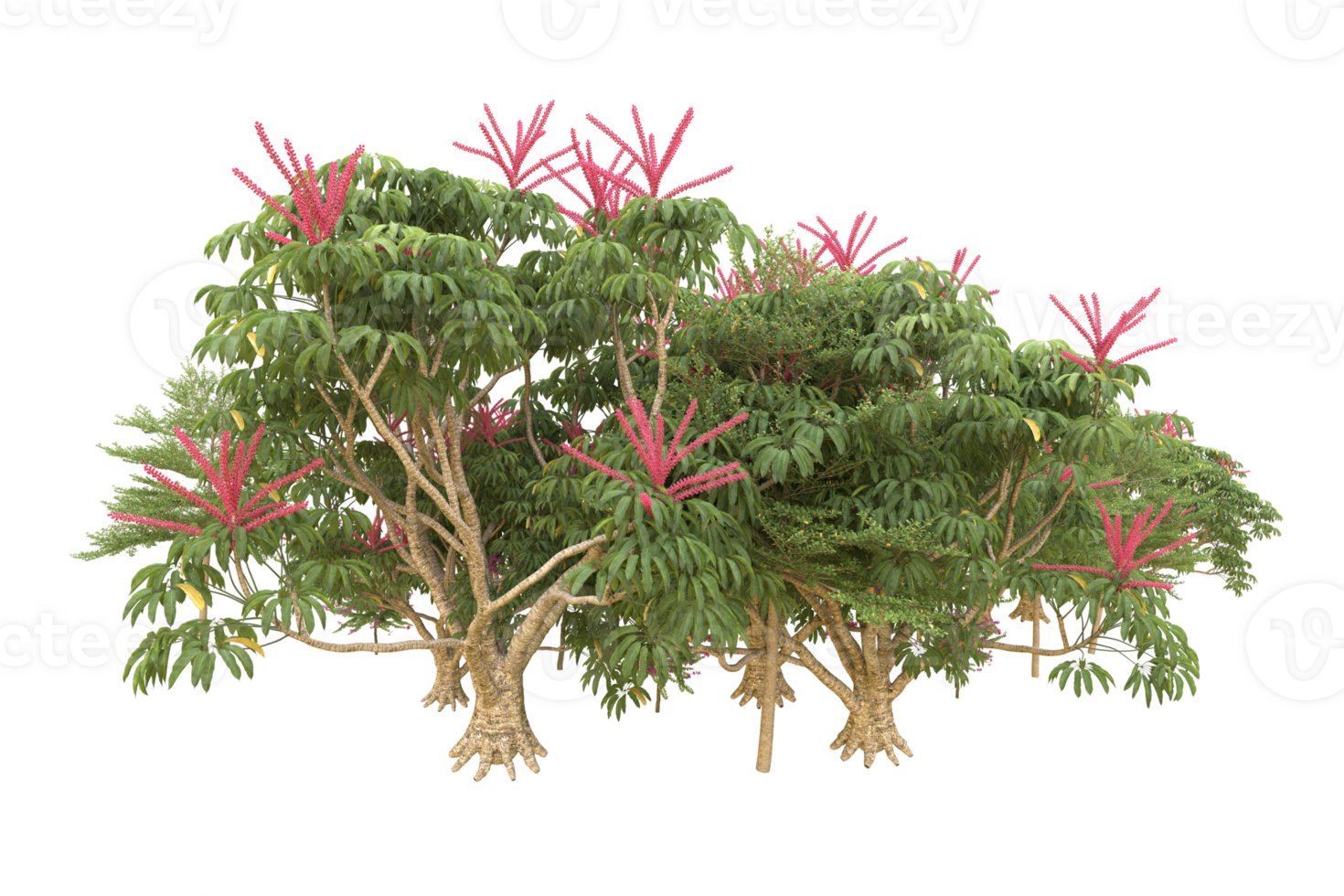 Realistic forest isolated on transparent background. 3d rendering - illustration png
