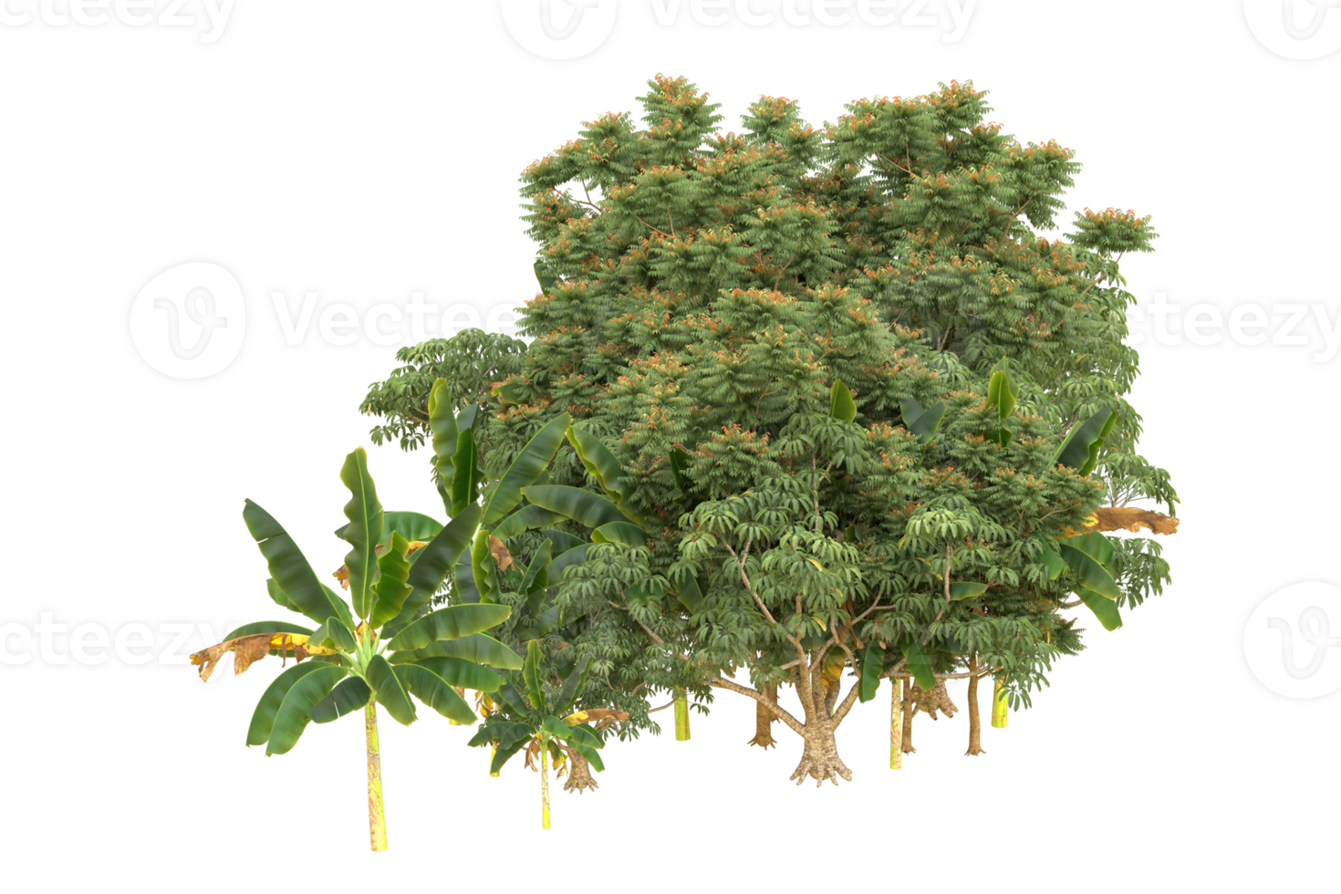 Realistic forest isolated on transparent background. 3d rendering - illustration png
