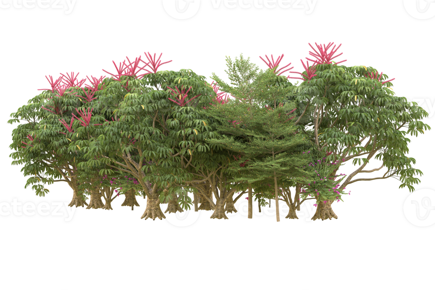 Realistic forest isolated on transparent background. 3d rendering - illustration png